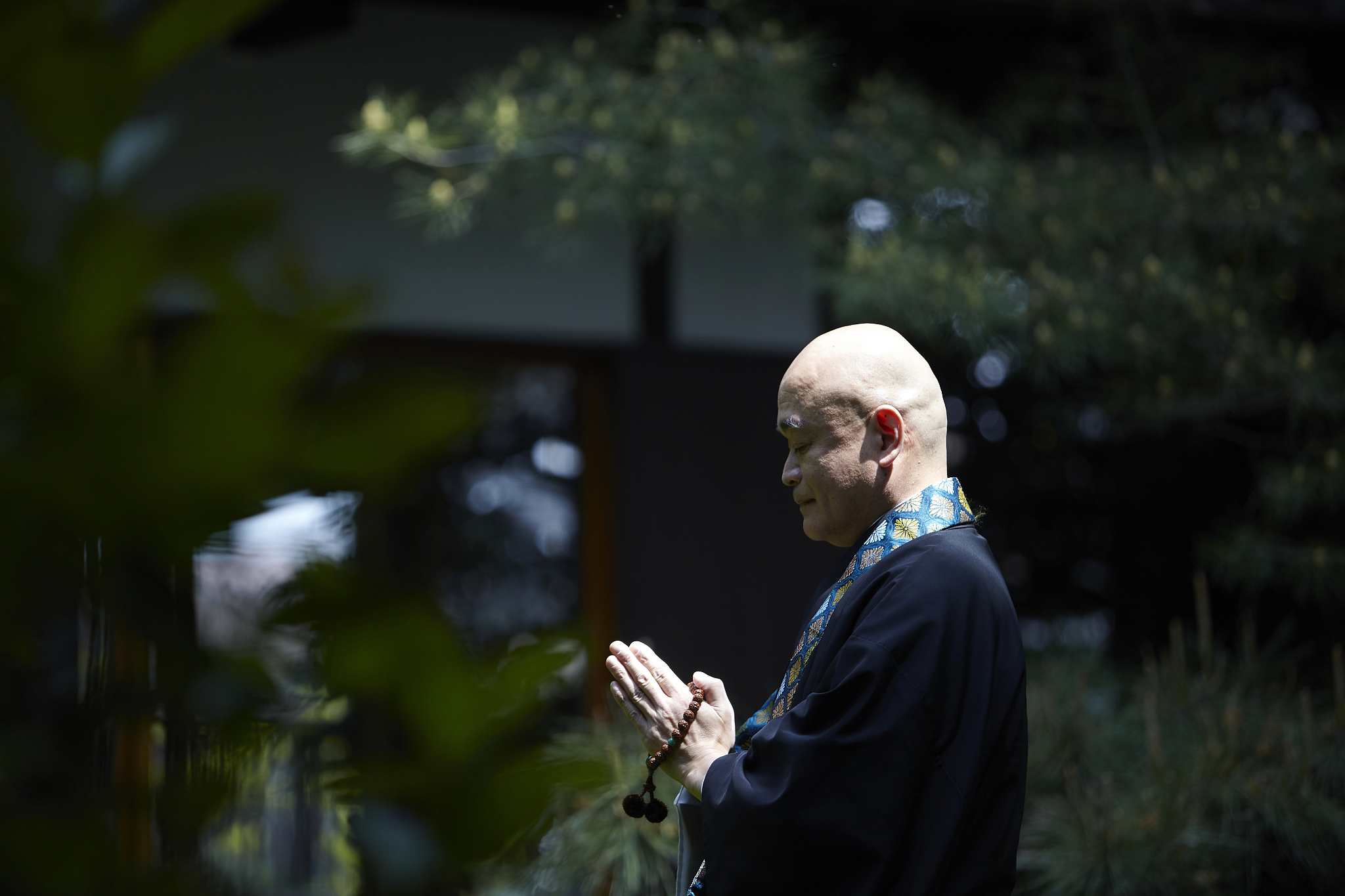 和尚遇到钻石：佛法智慧与慈悲的考验