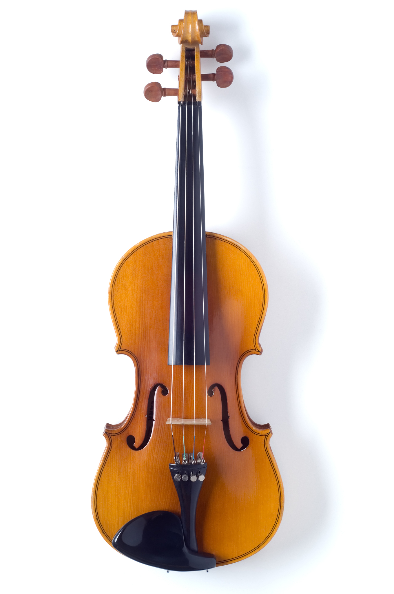 violin