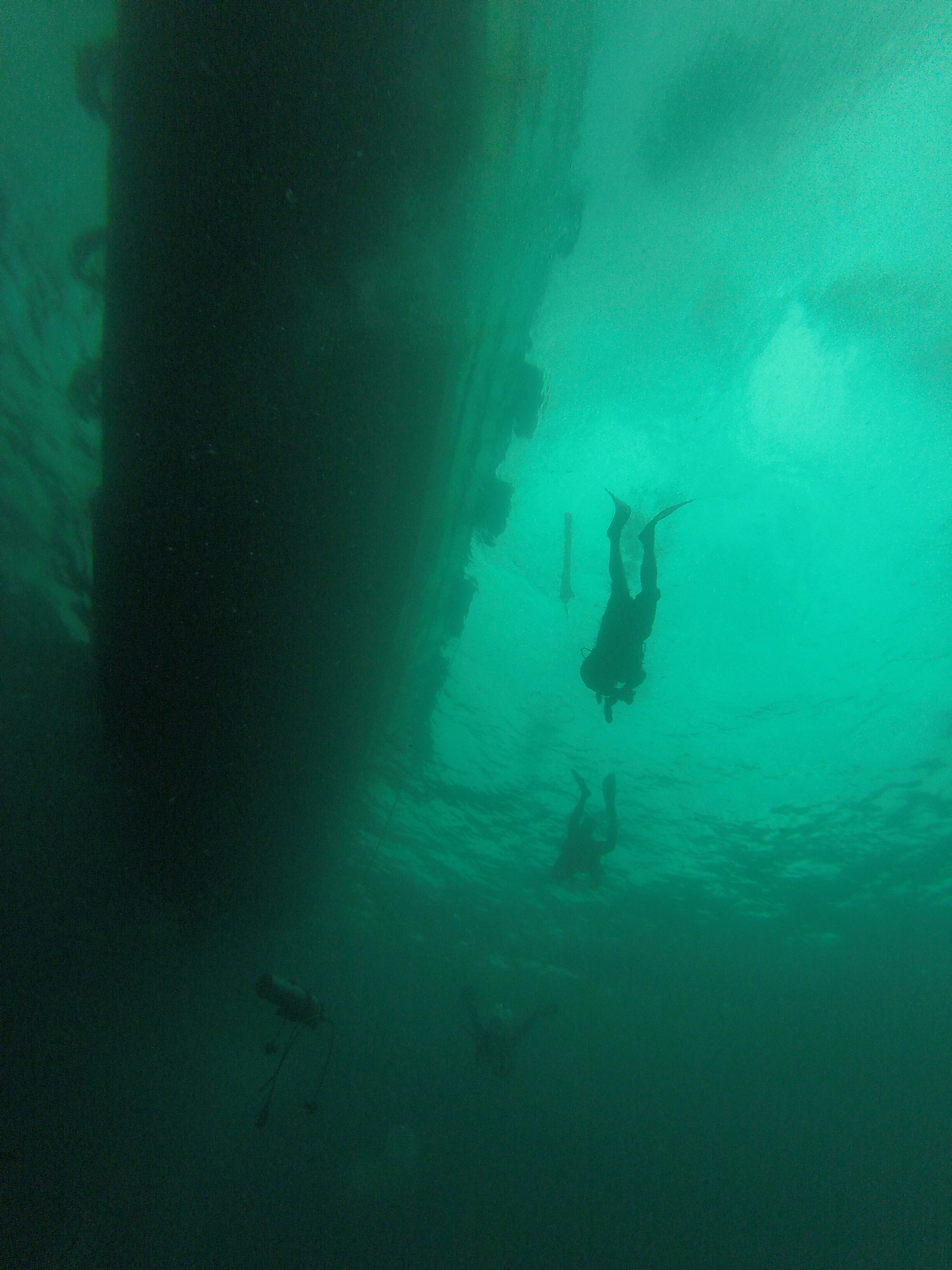 summer underwater