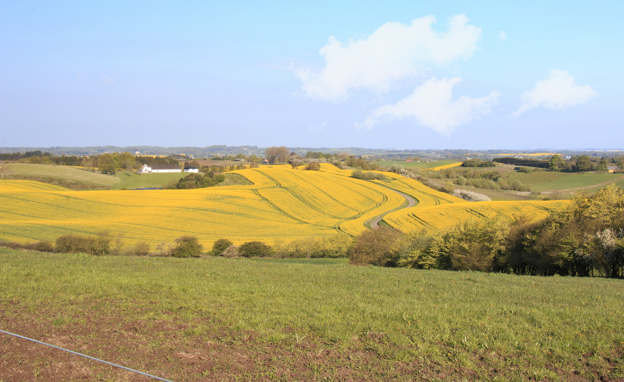 唤醒心灵的共鸣：与'希望的田野'意境相似的表达