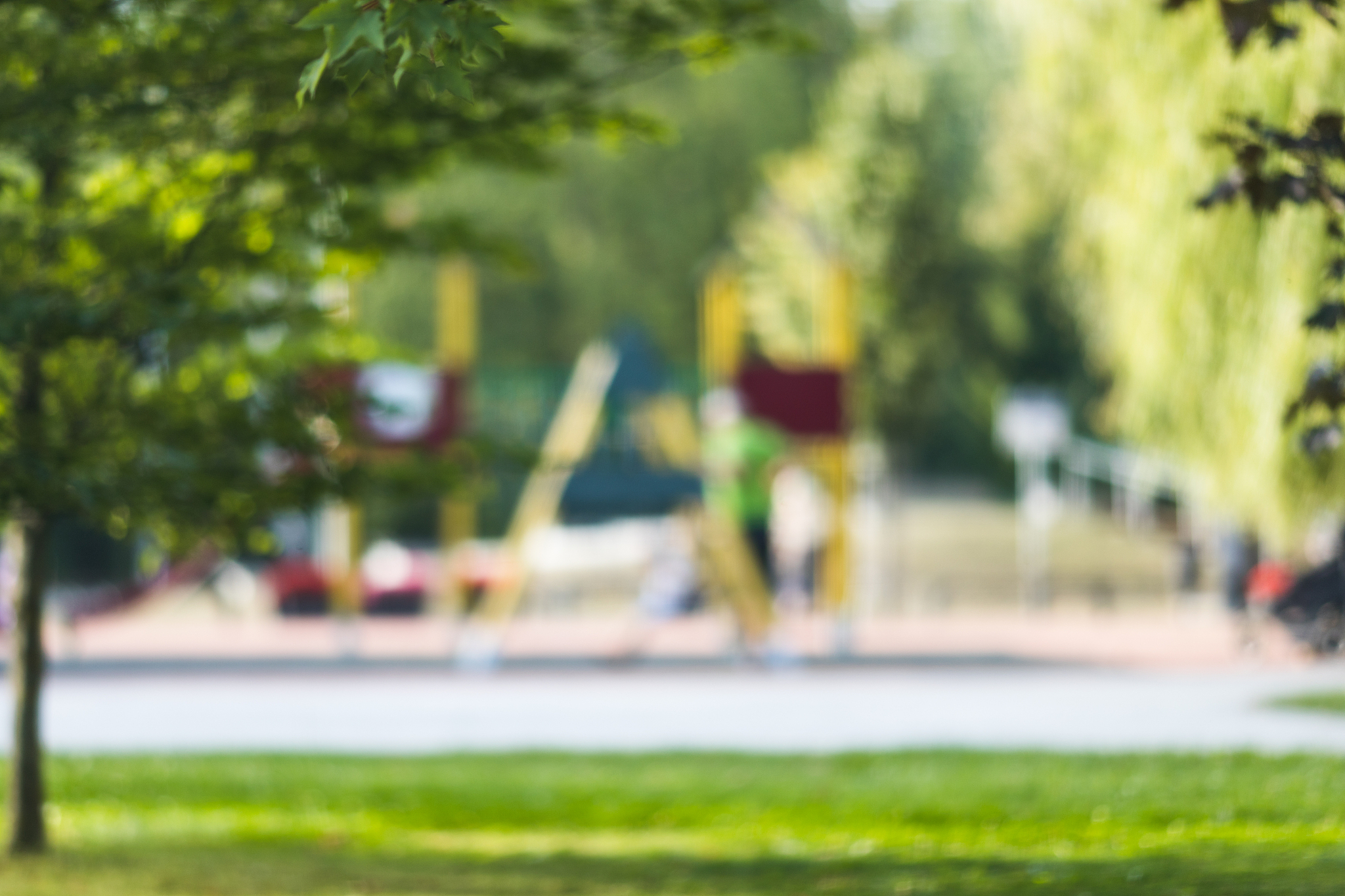 校园漫步，拥抱自由与美好 | 微博推文