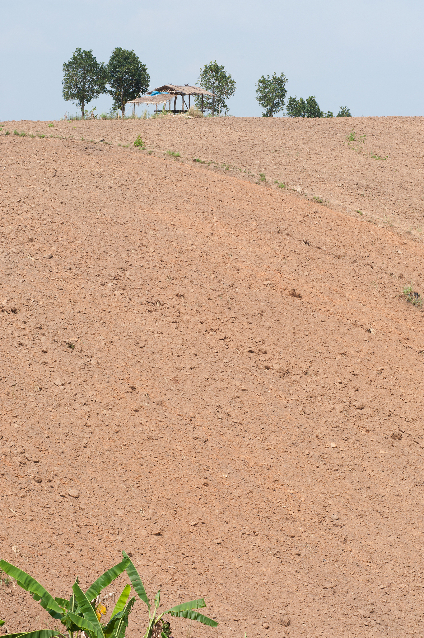 hills were plowed.