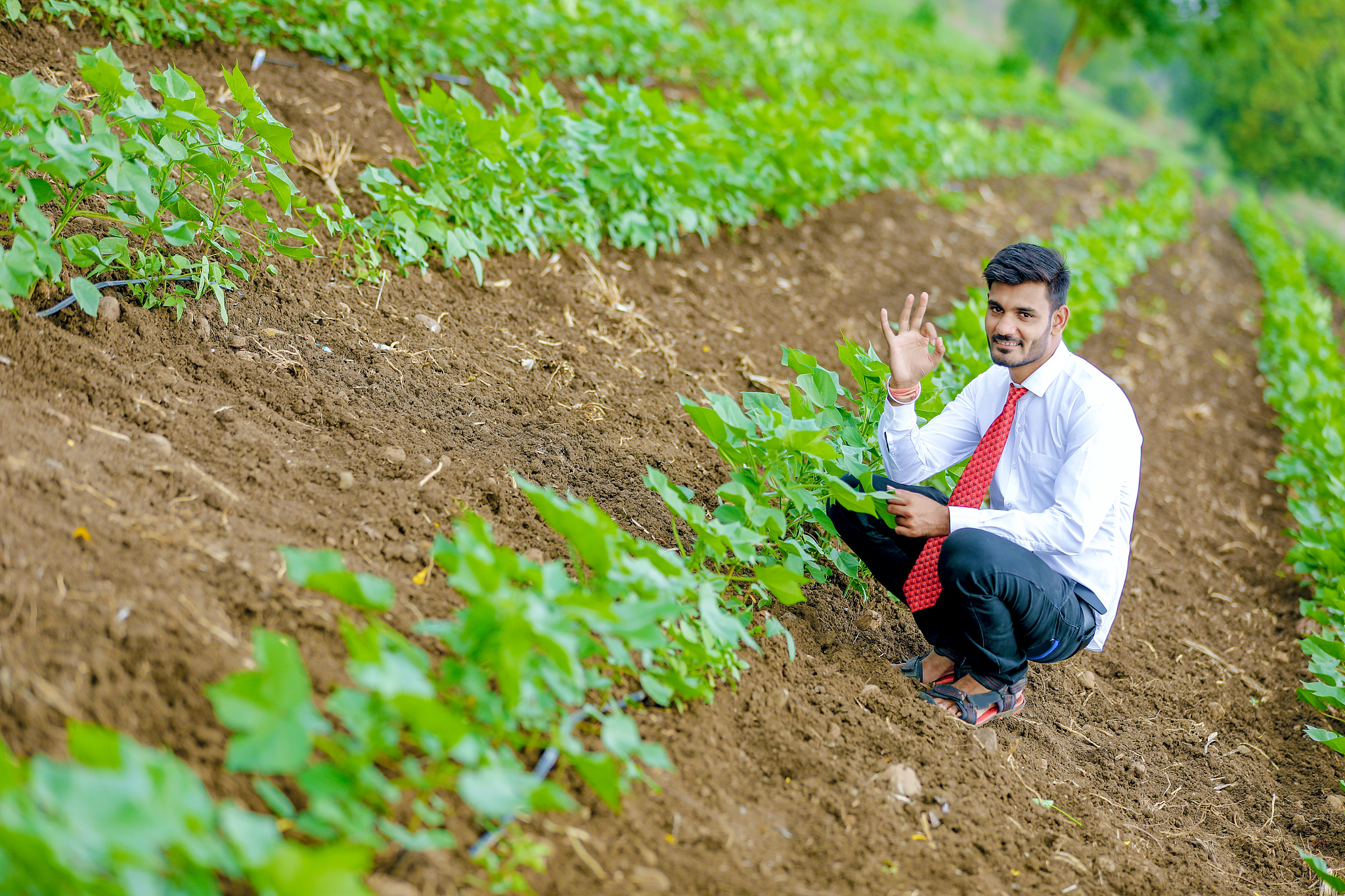 日照农业学校有哪些专业