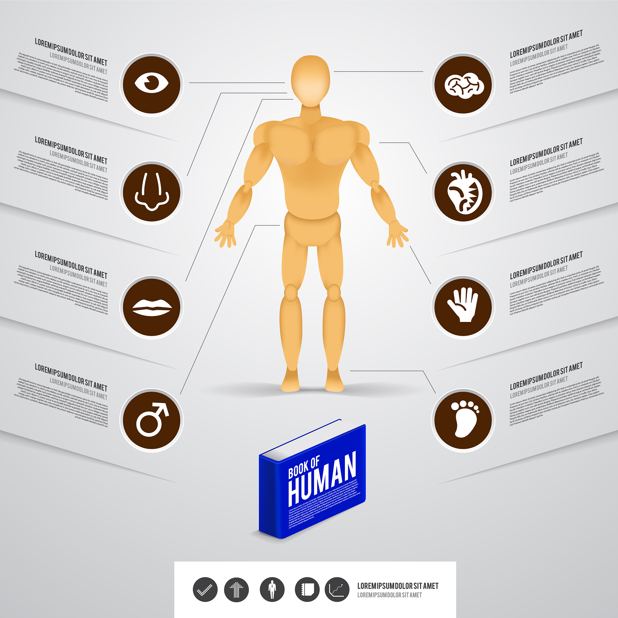 MODY：罕见糖尿病类型，为糖尿病发病机制研究提供宝贵见解
