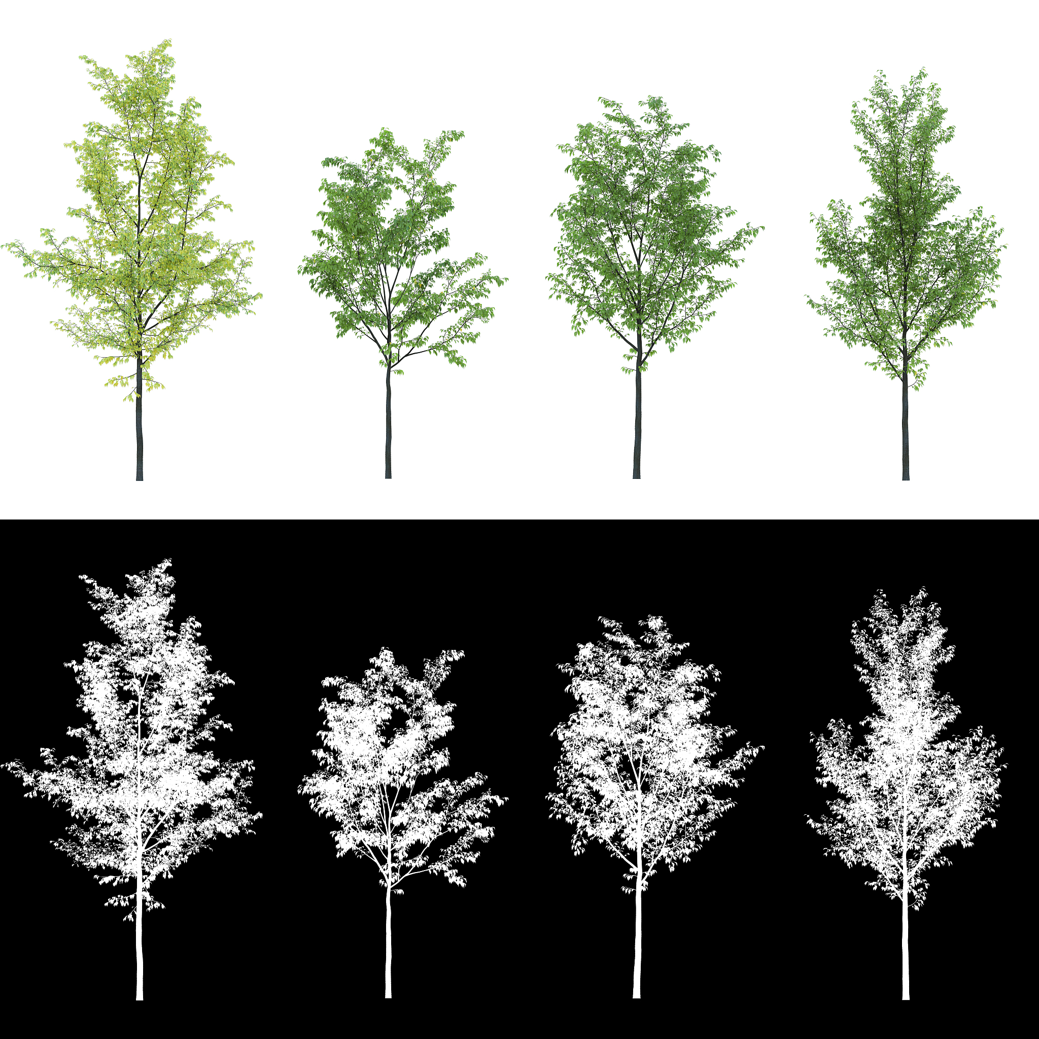 一个无向树T有一个3度顶点和两个2度顶点其他顶点都是叶结点。树T有多少叶子？ 为什么