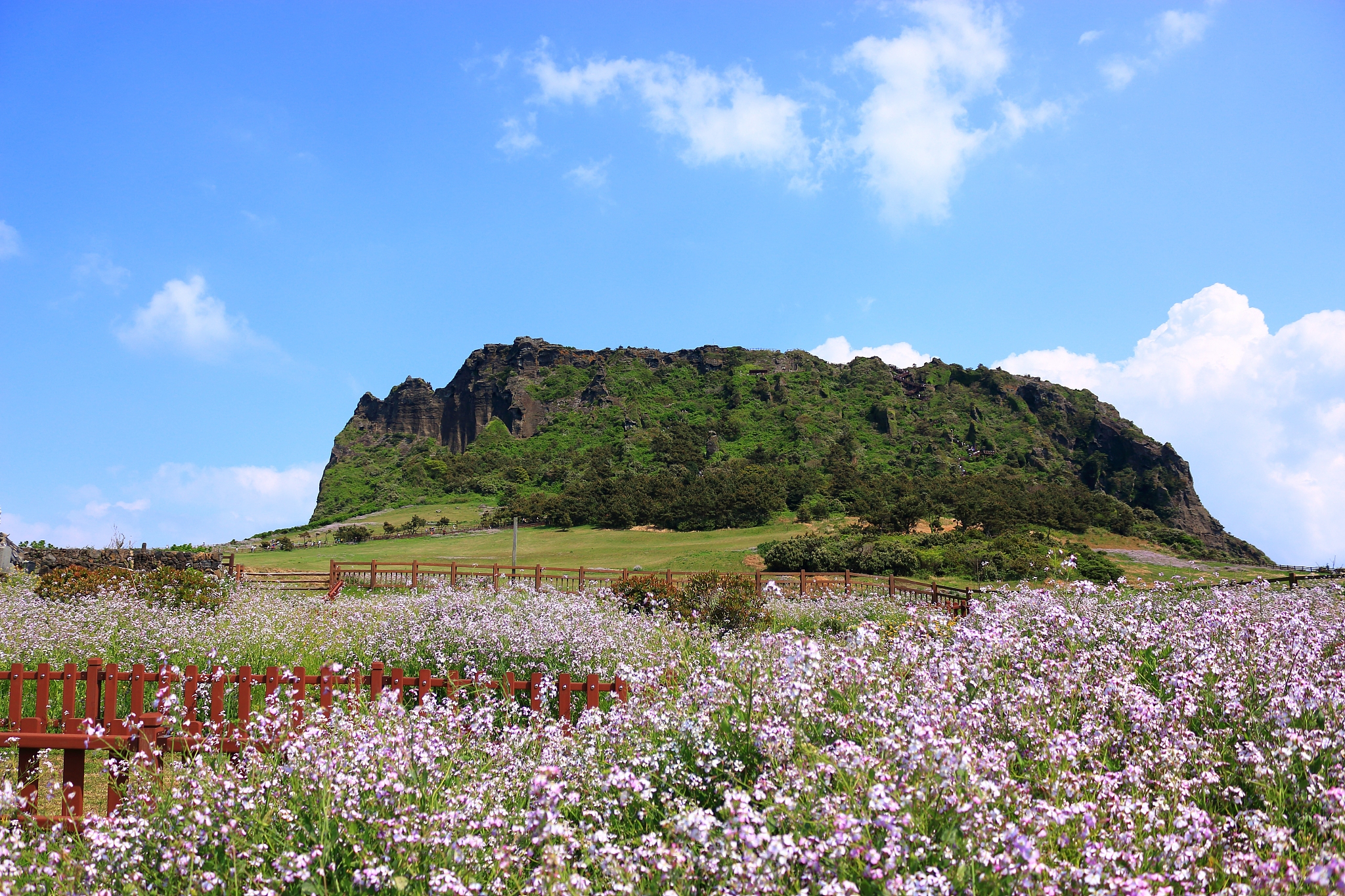 seongsan sunrise peak, unesco world heritage site, sunrise, sunr