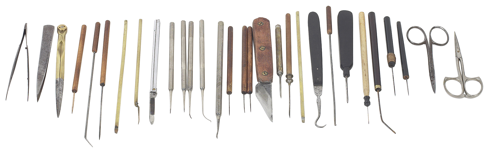 咕咕信鸽App：如何查询鸽主战绩？