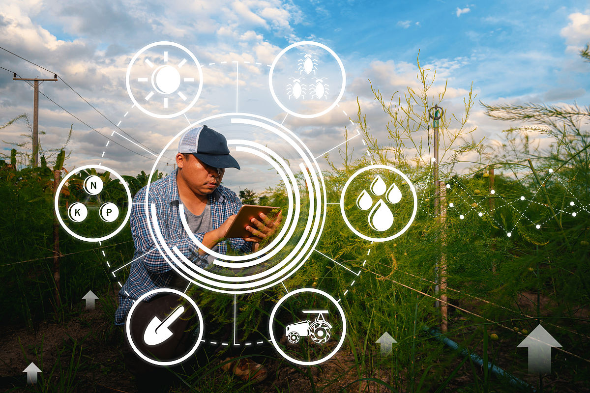 扶贫农产品销售平台建设与发展研究