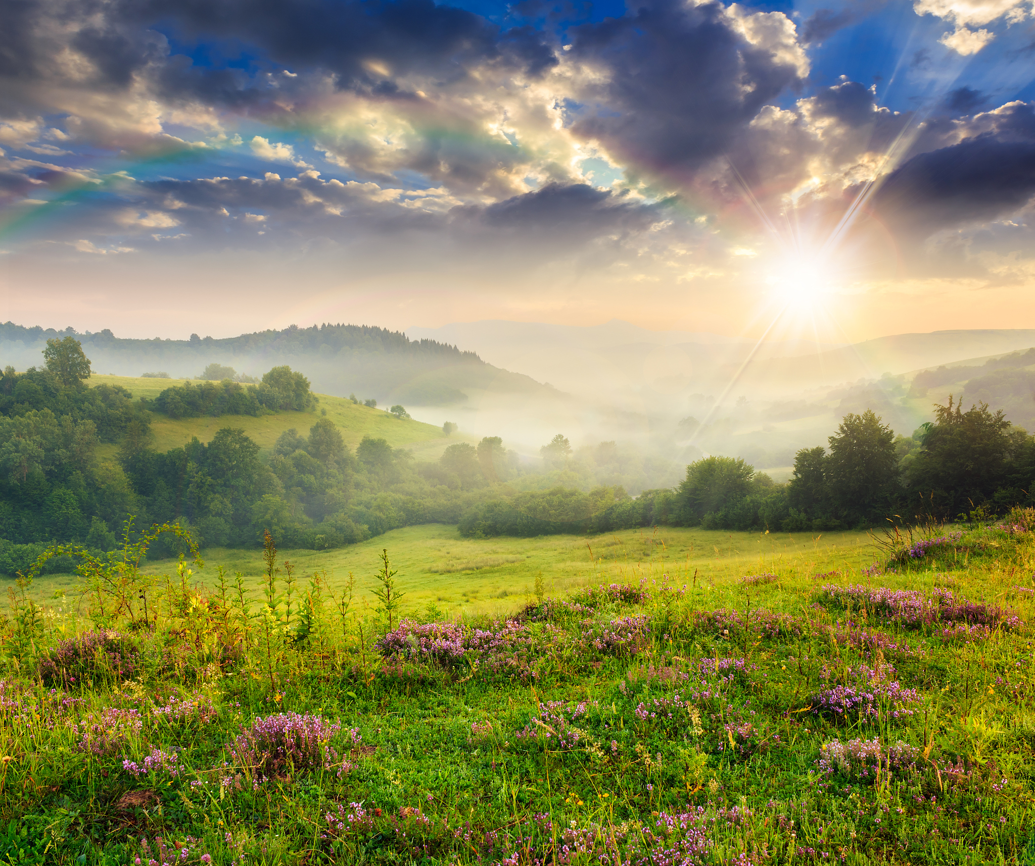 自然景观带来的益处：提升心情、增强体质、增进人际关系等