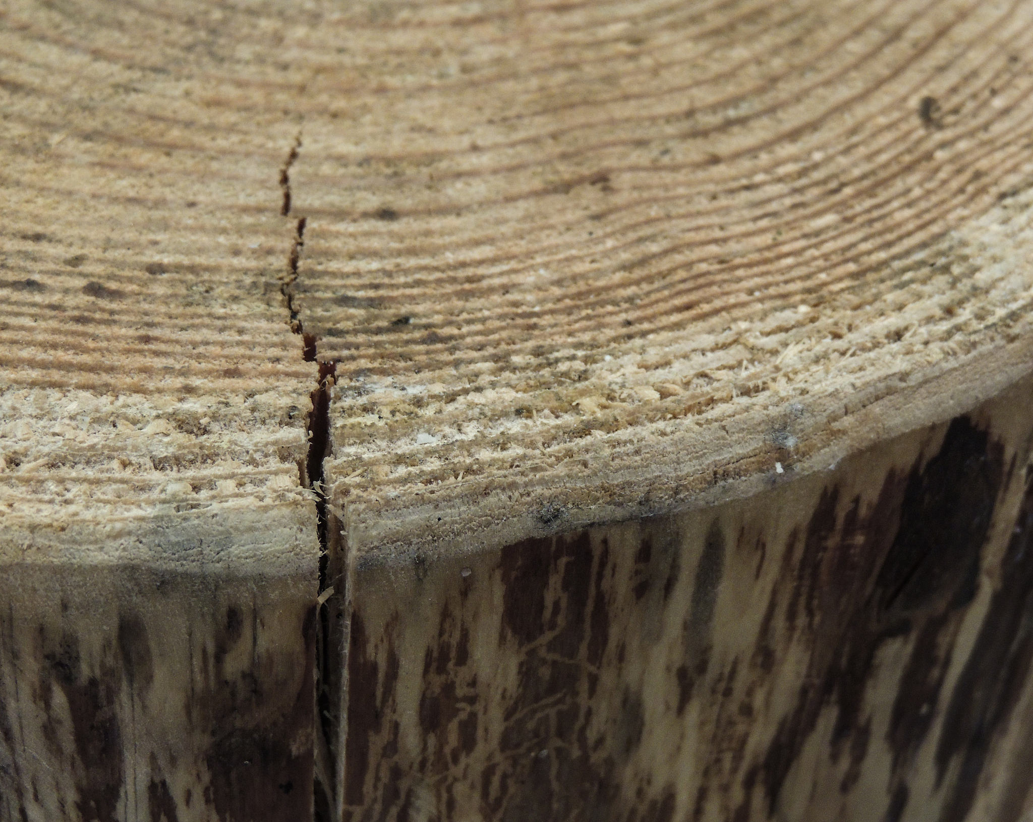 木材被蛀了还能用吗