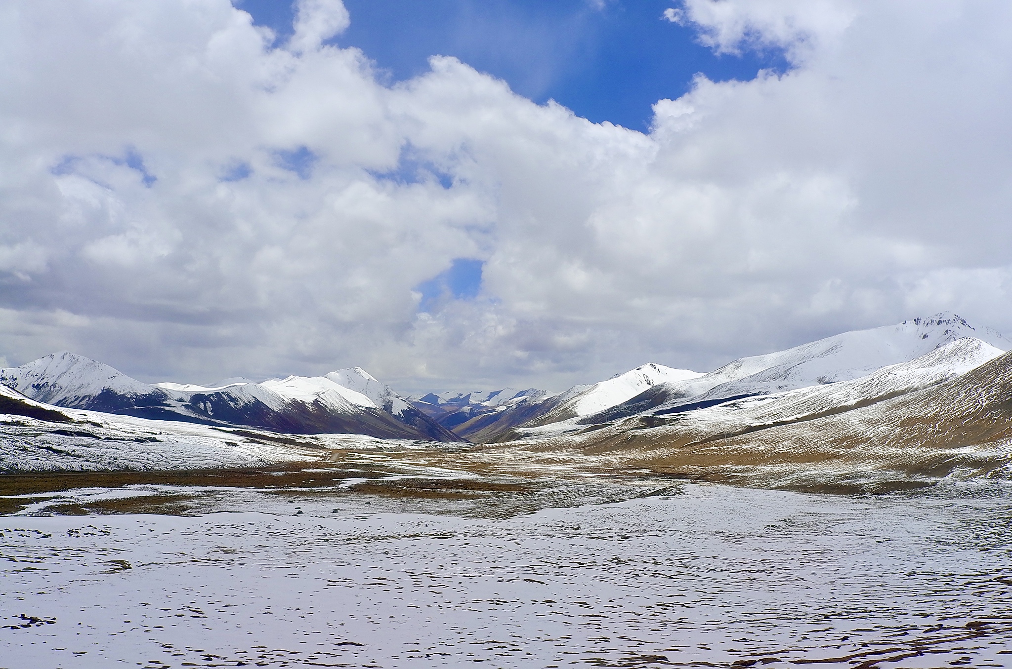西域光明散在陕西哪里生产回答加拓展