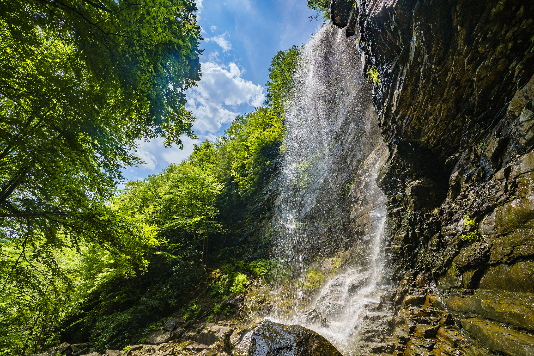 I did t really eat anything Lol I was still full from lunch I want to hike the gorge and find water falls to look at