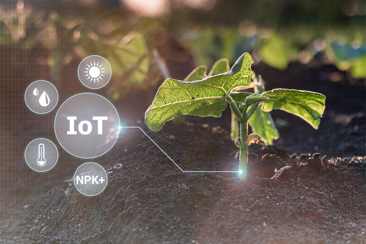 云南省曲靖农业学校2019年五年制大专招生简章