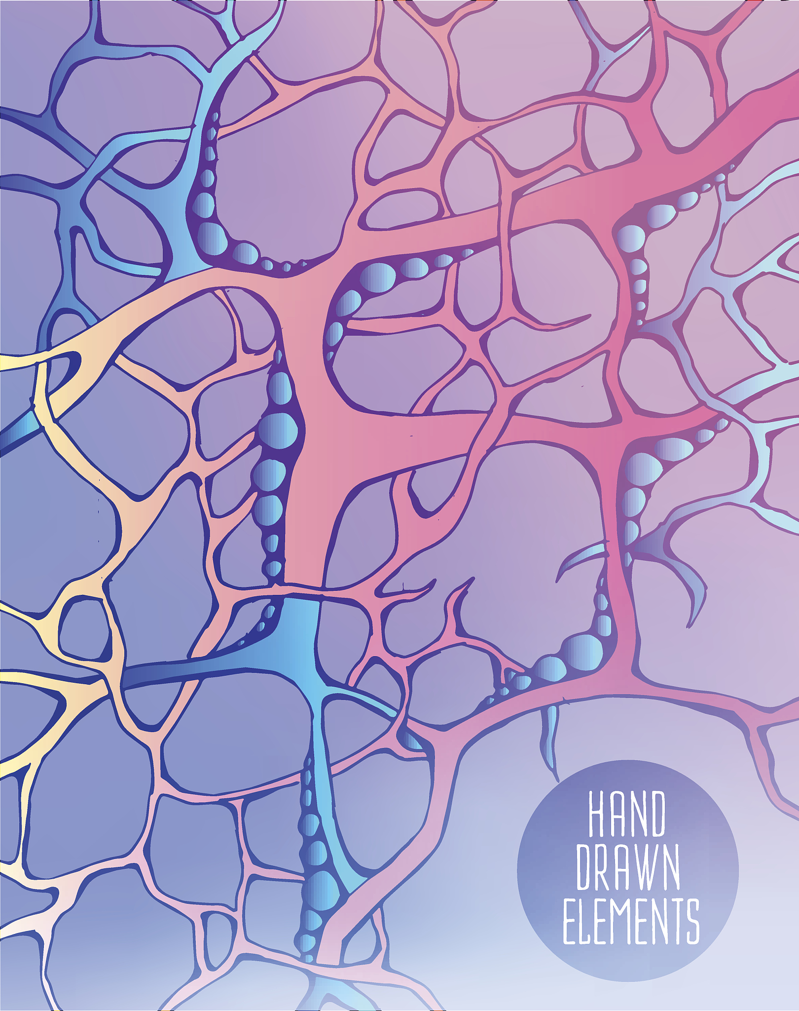 Palldin 蛋白与细胞迁移：机制解析