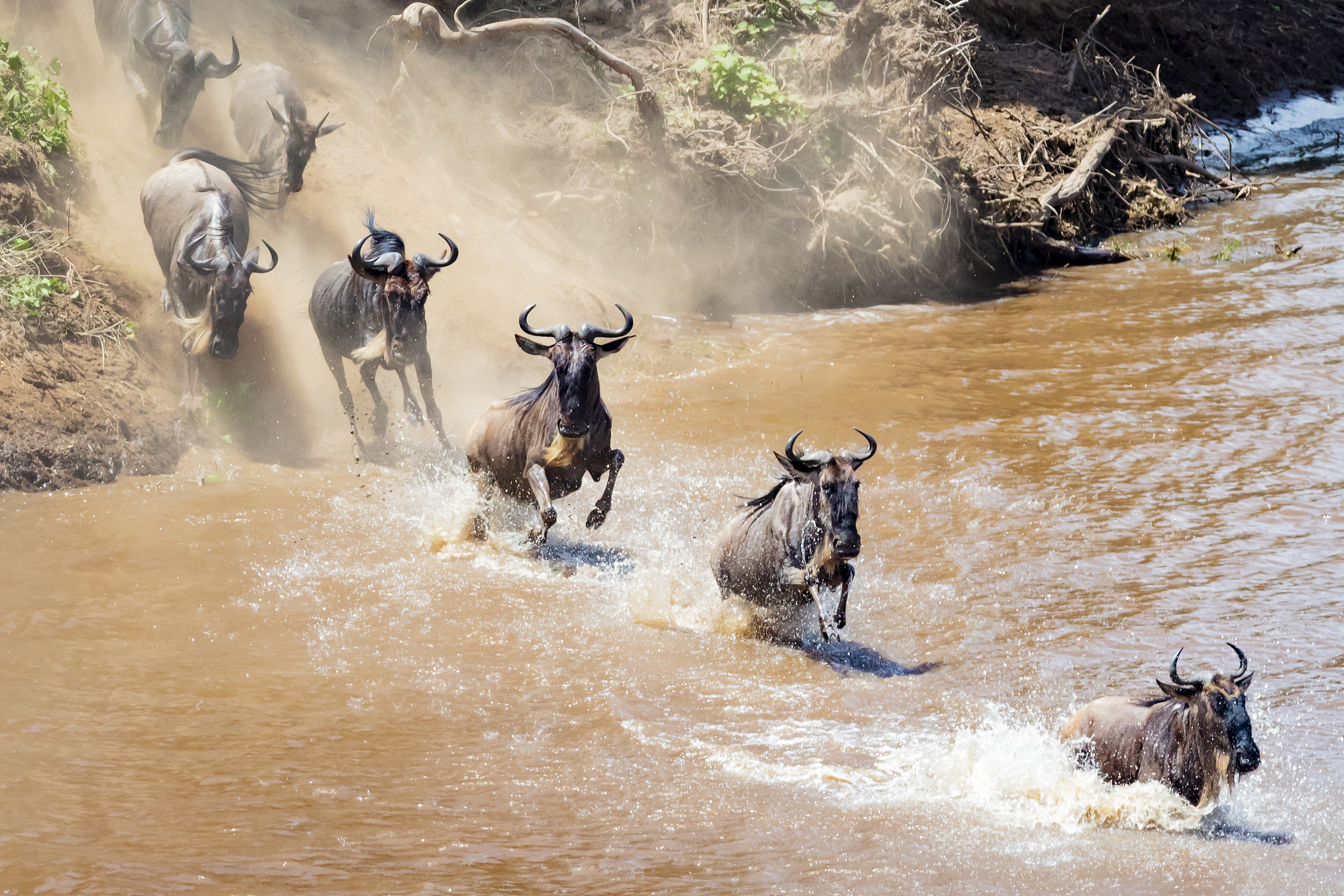 great migration