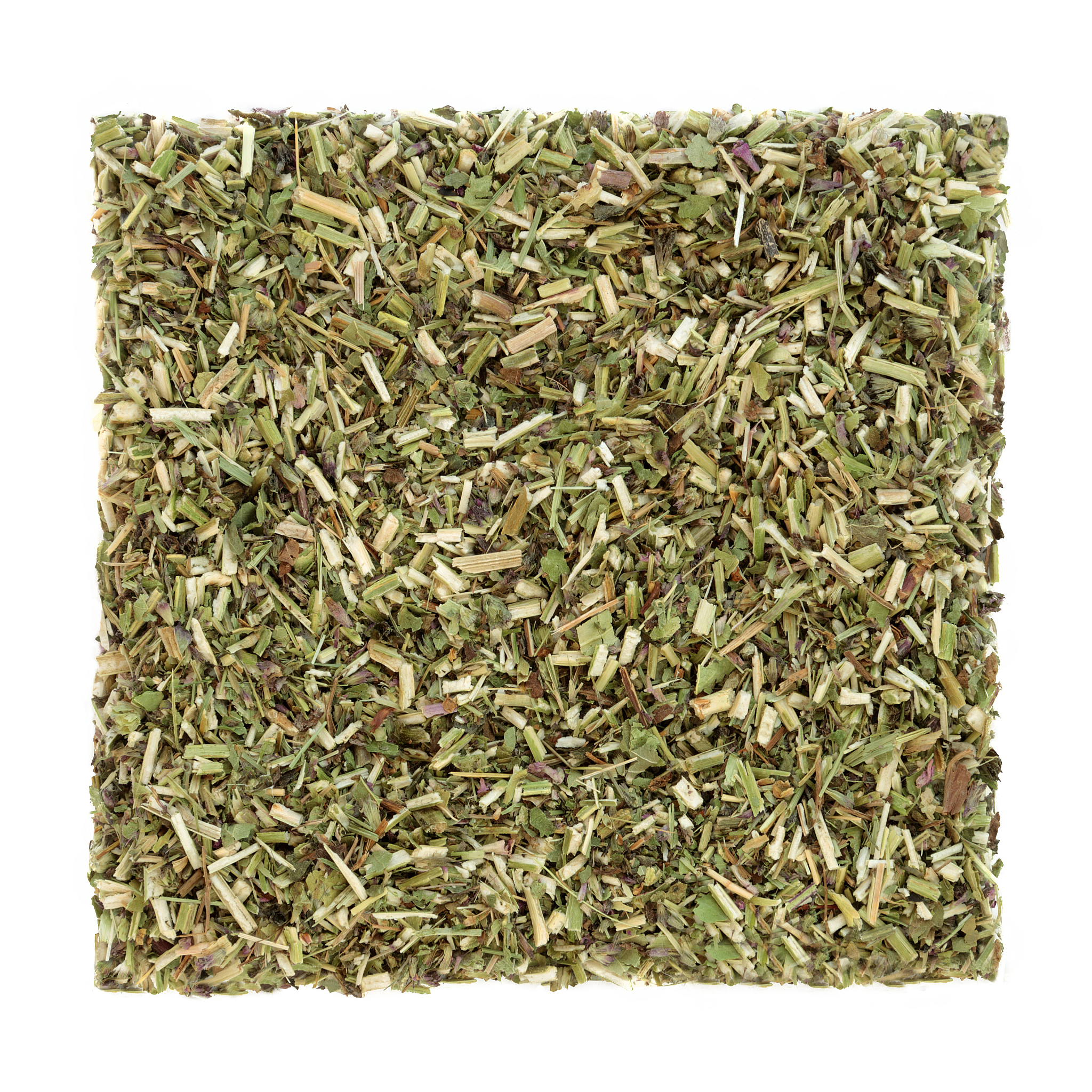 成都卫生学校：为何选择卫生学校？