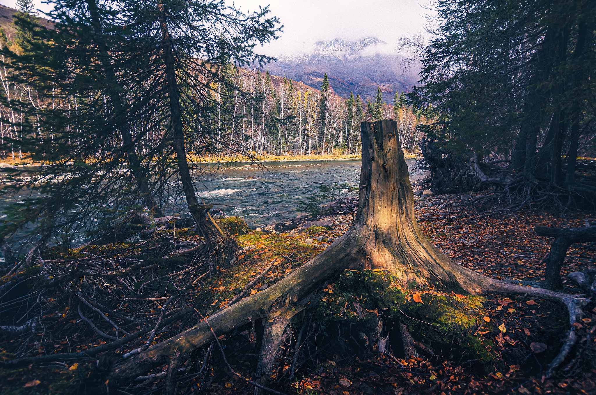 秋风拂叶，夜幕低垂，诗歌下半段续写