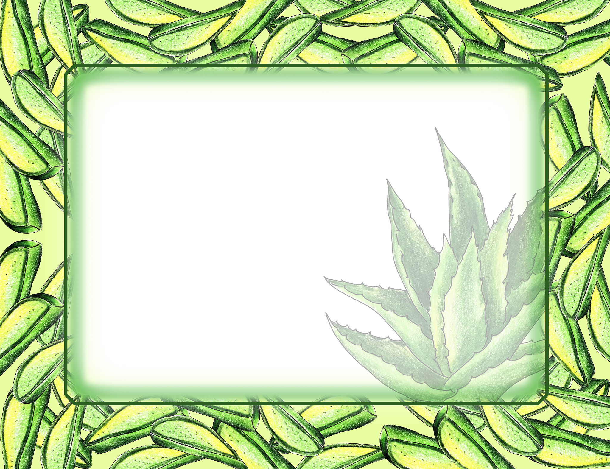 维生素PP (烟酸) 全面指南：功效、缺乏症及更多