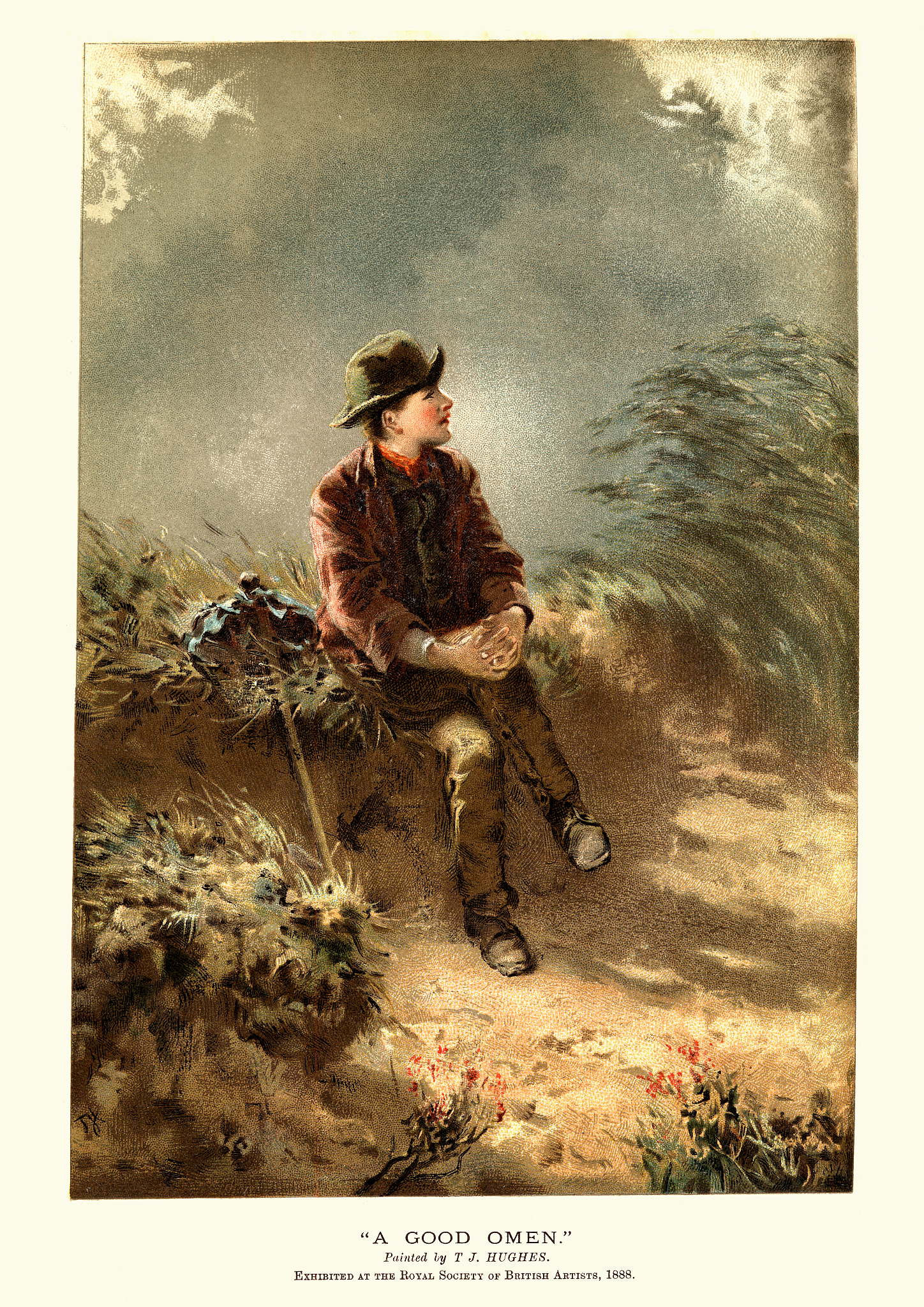 麦田来了是什么