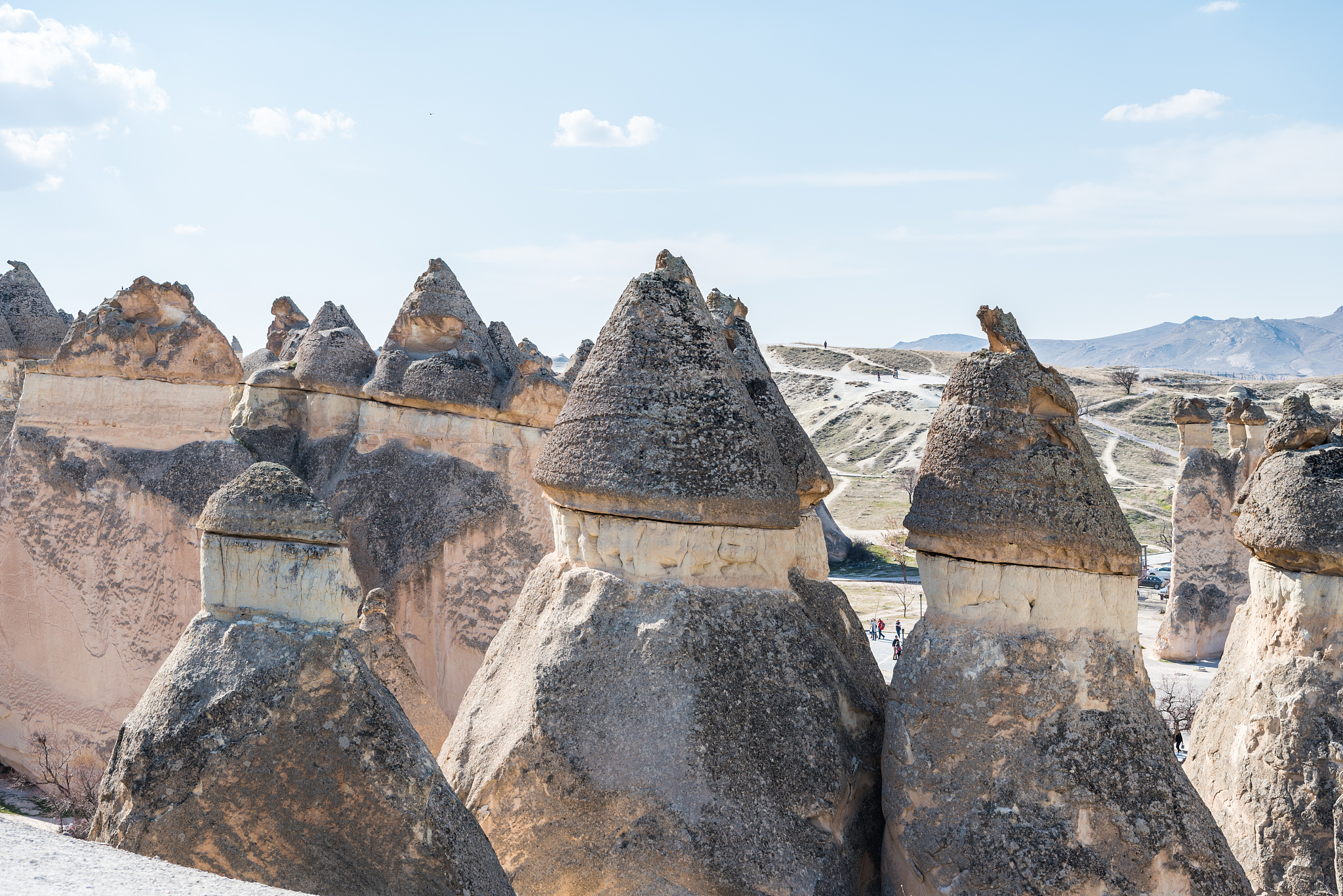 fairy chimneys in the pasabag velley or monks valley, with  high
