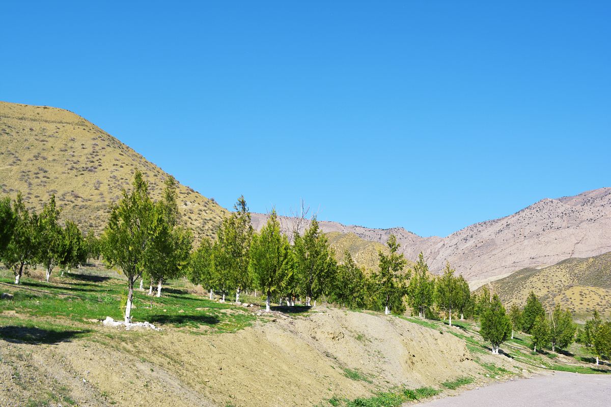伊吾县前山乡旅游攻略：探寻名胜风景，体验民俗风情