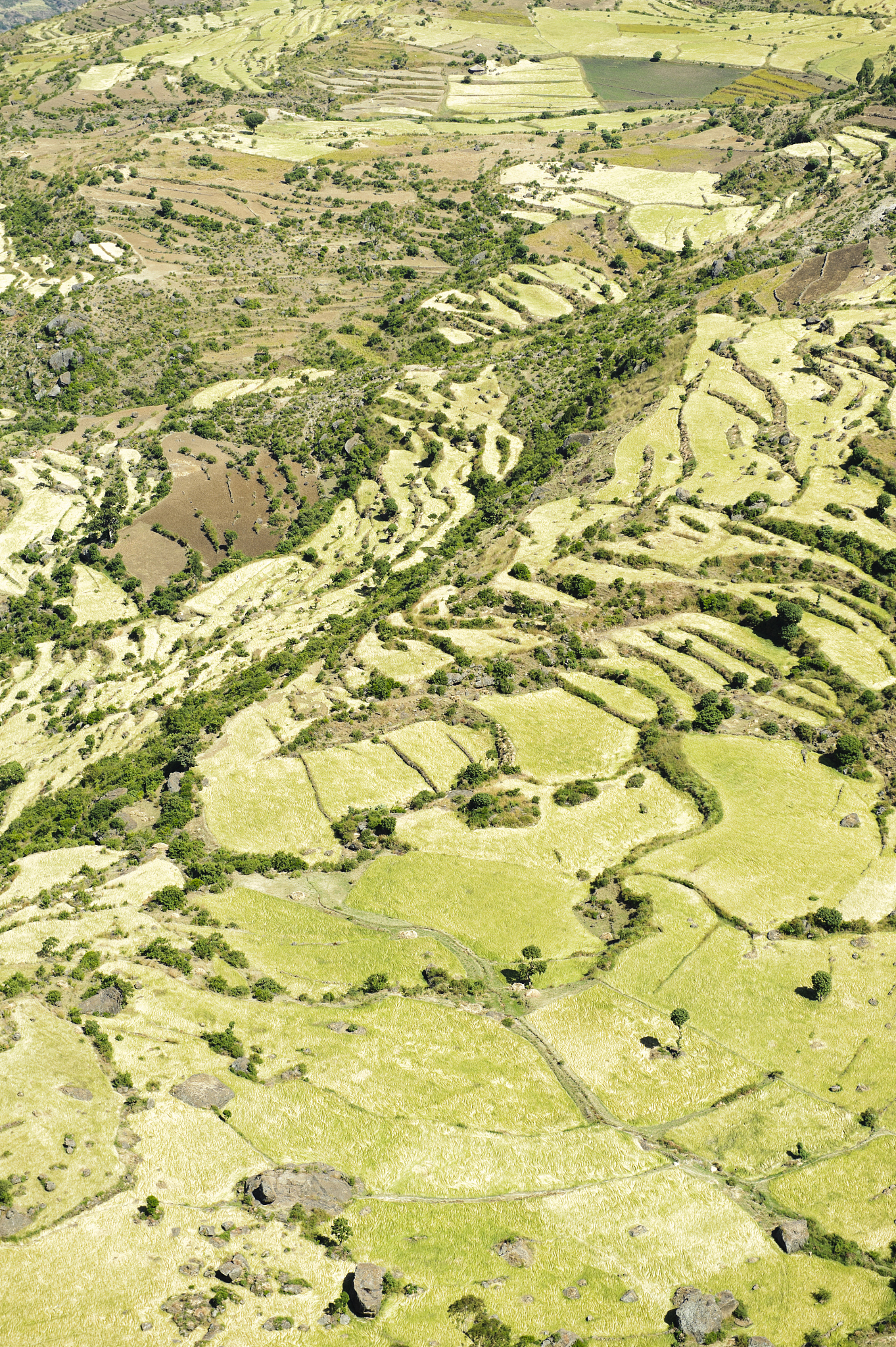 panorama photo of an african landscape