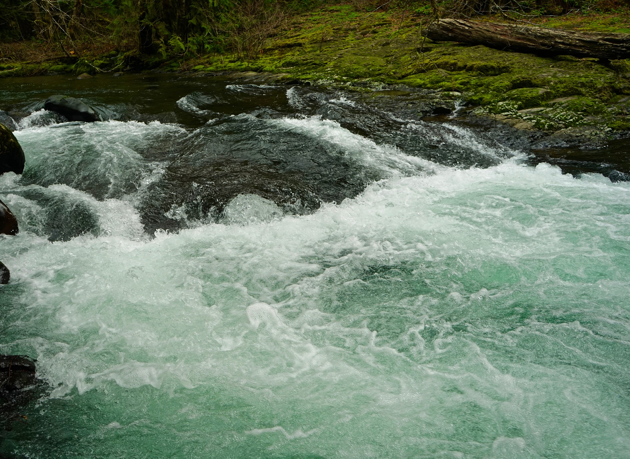 roaring river water