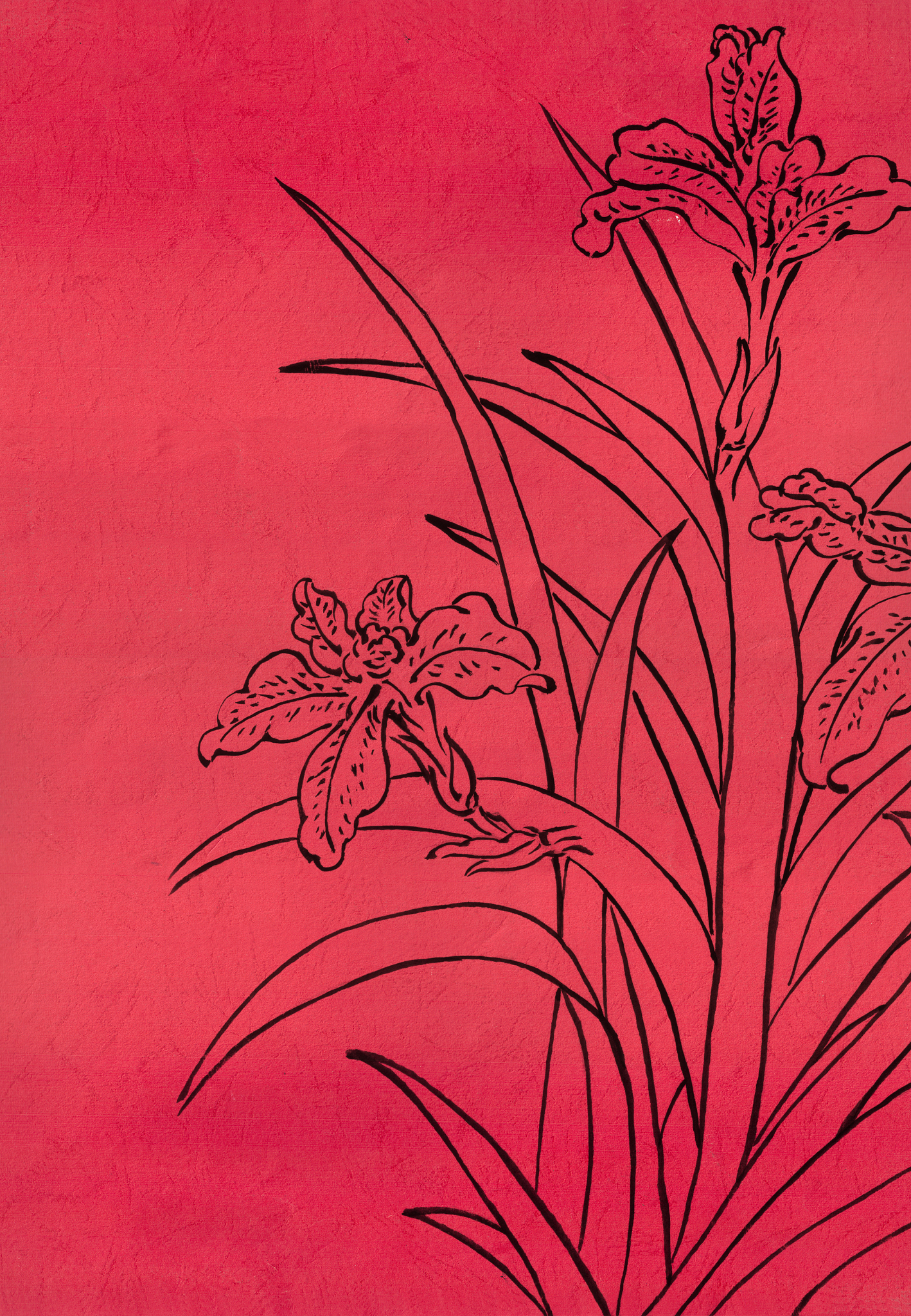 chinese painting with paper texture--line drawing,flower