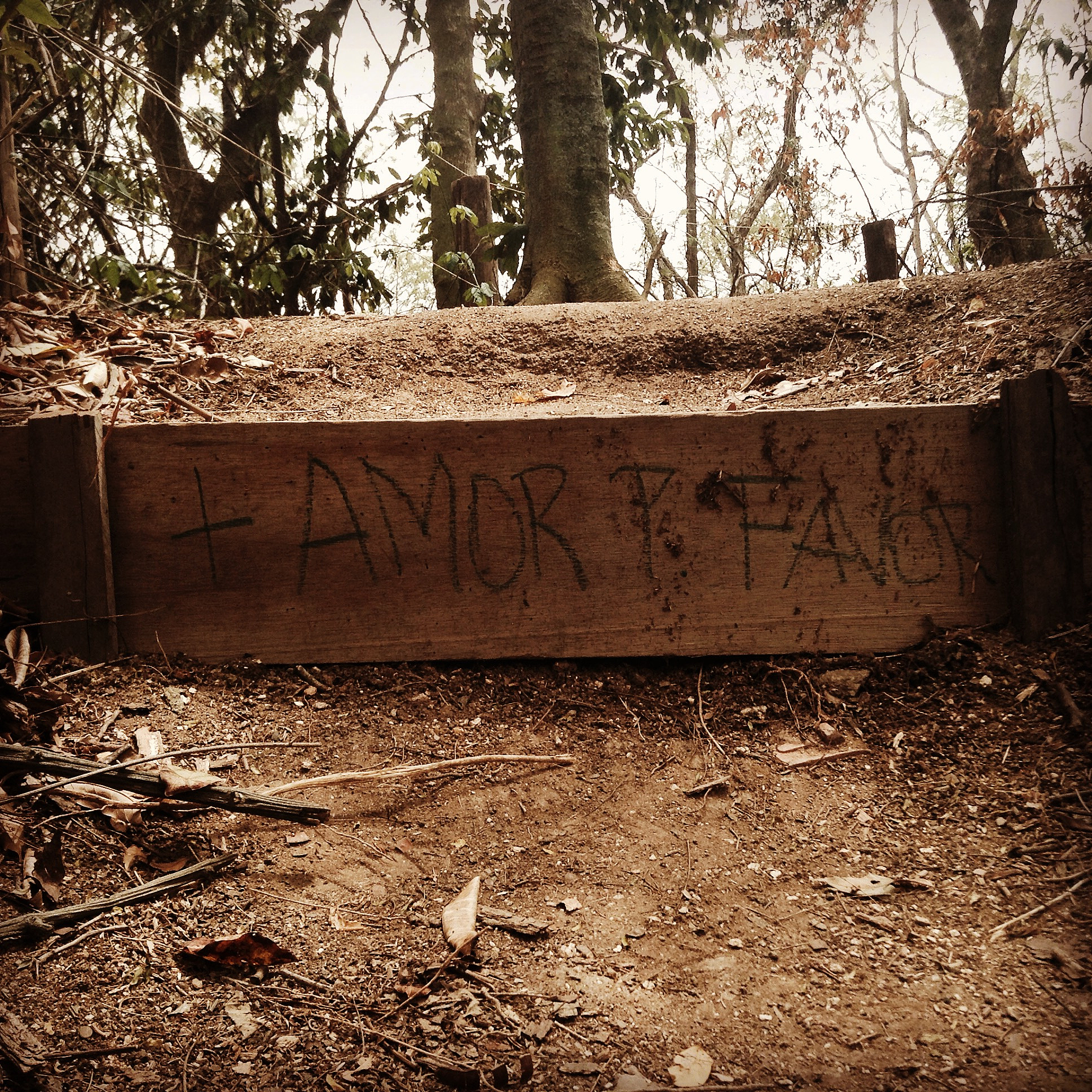 5 frases para dedicar