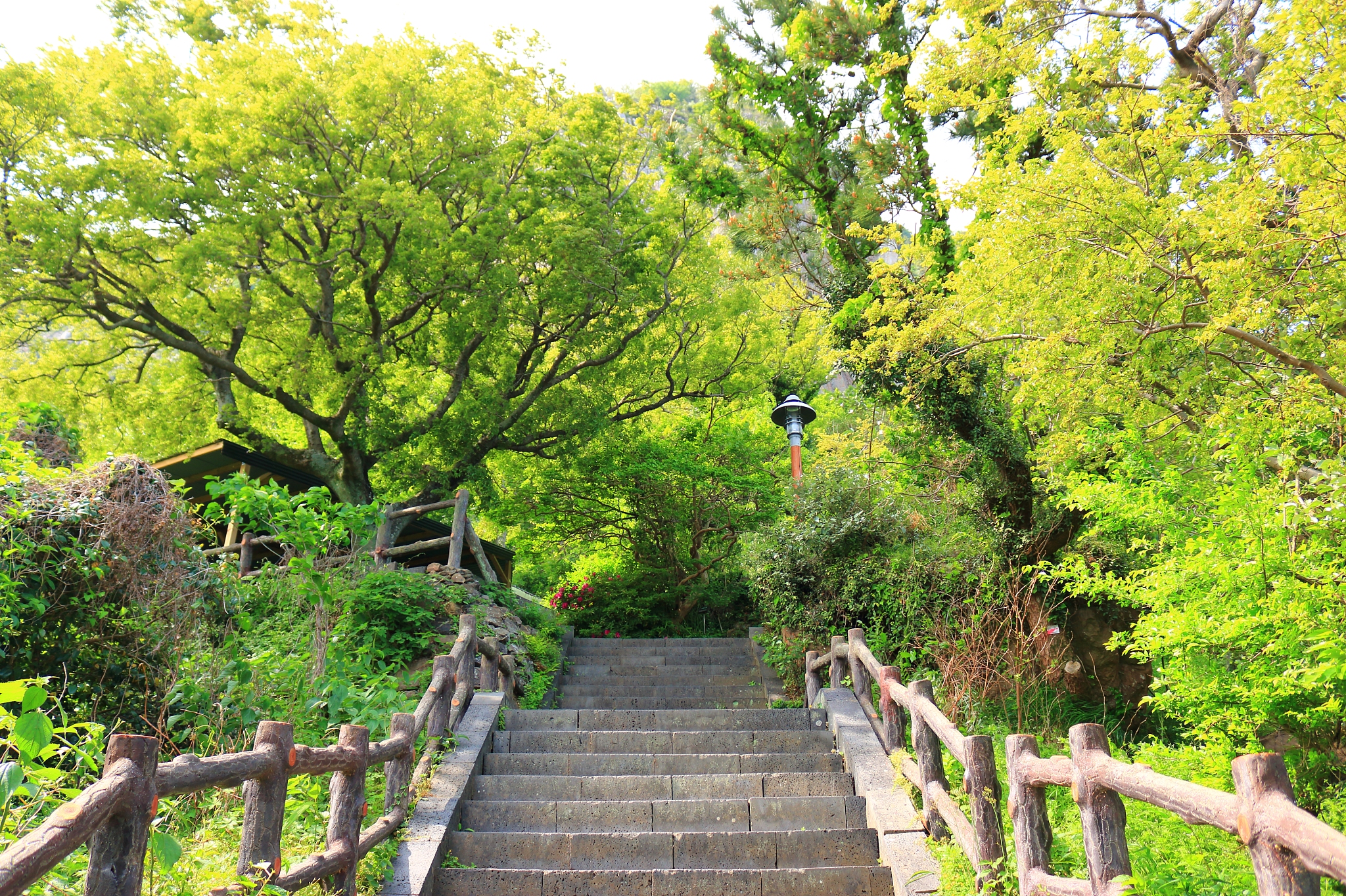 mountain mountain, temple, mountain gulsa,