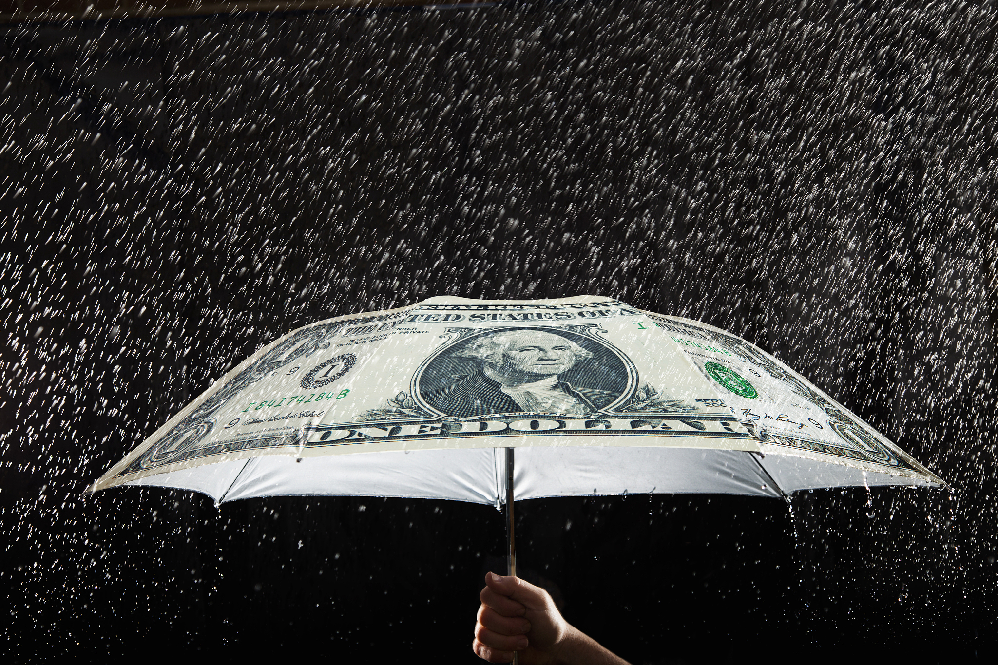 person holding money umbrella in the rain