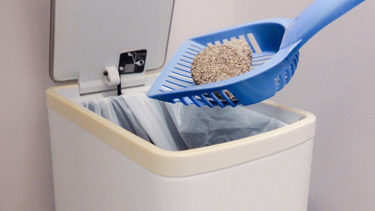 未来科技时代的智能猫砂产品应该具备哪些功能？你可以想象出并描述一下这个功能和详细介绍吗