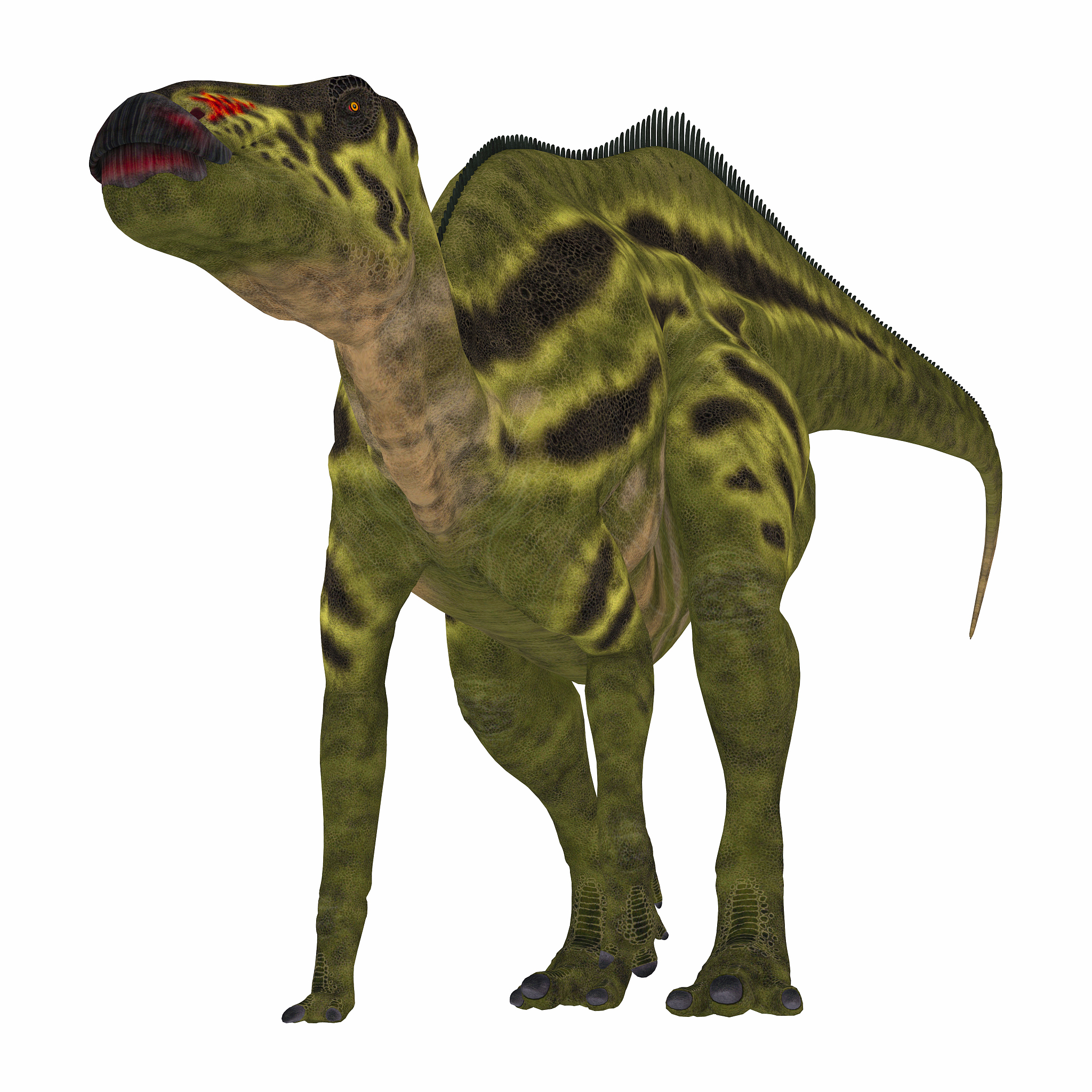shantungosaurus dinosaur on white