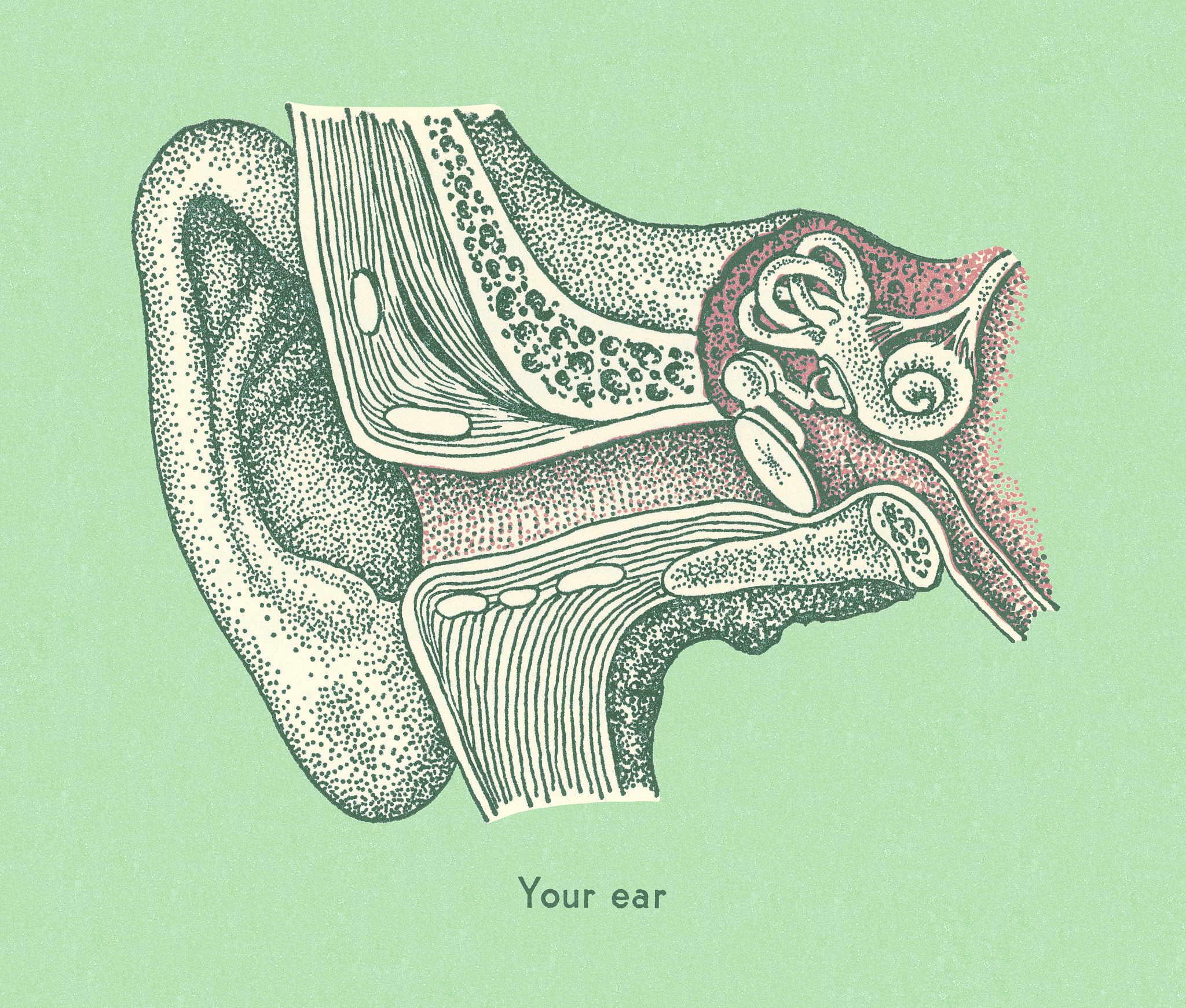德清县职业中等专业学校2021年招生条件