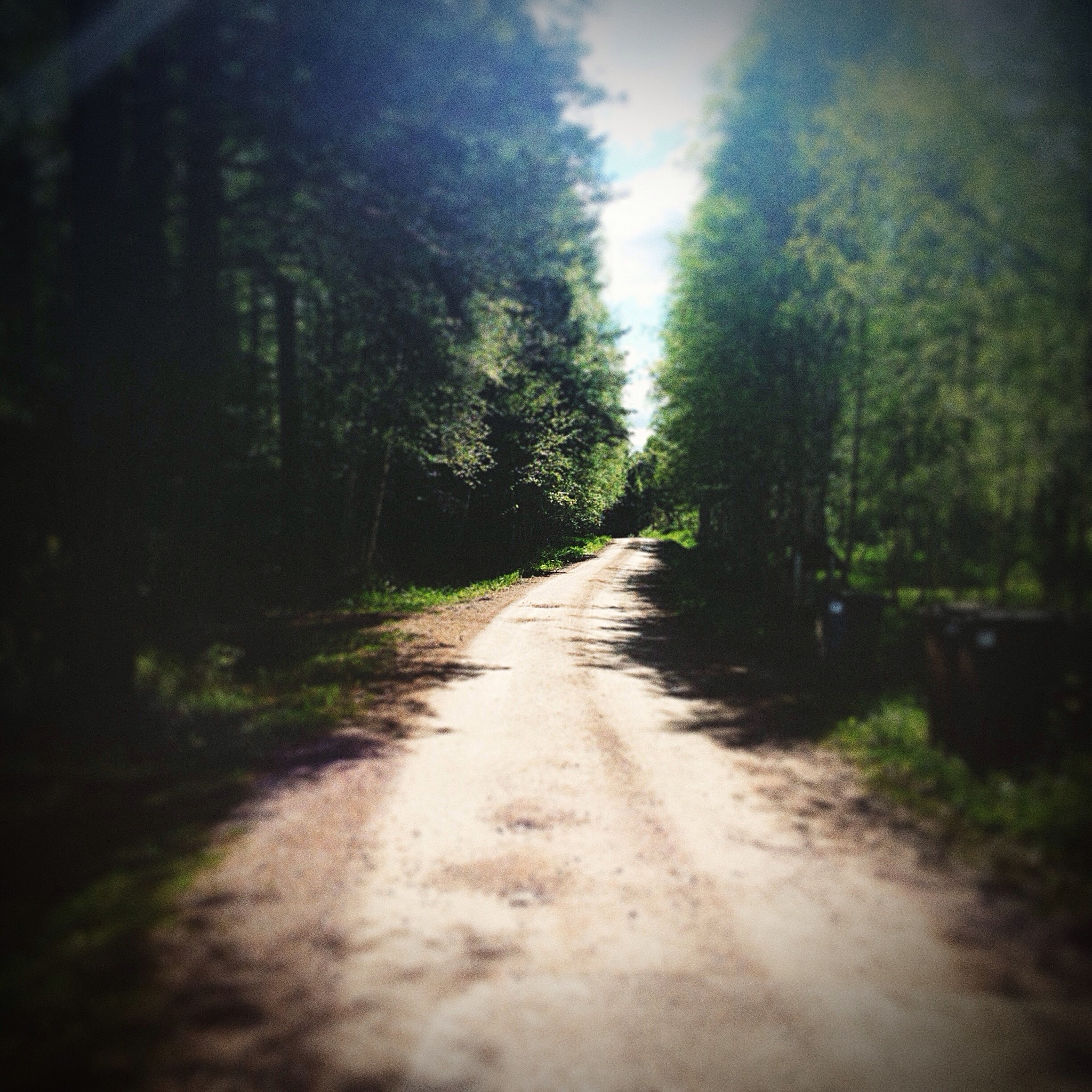 幽暗蜿蜒的迷雾小路：通往未知的冒险之旅