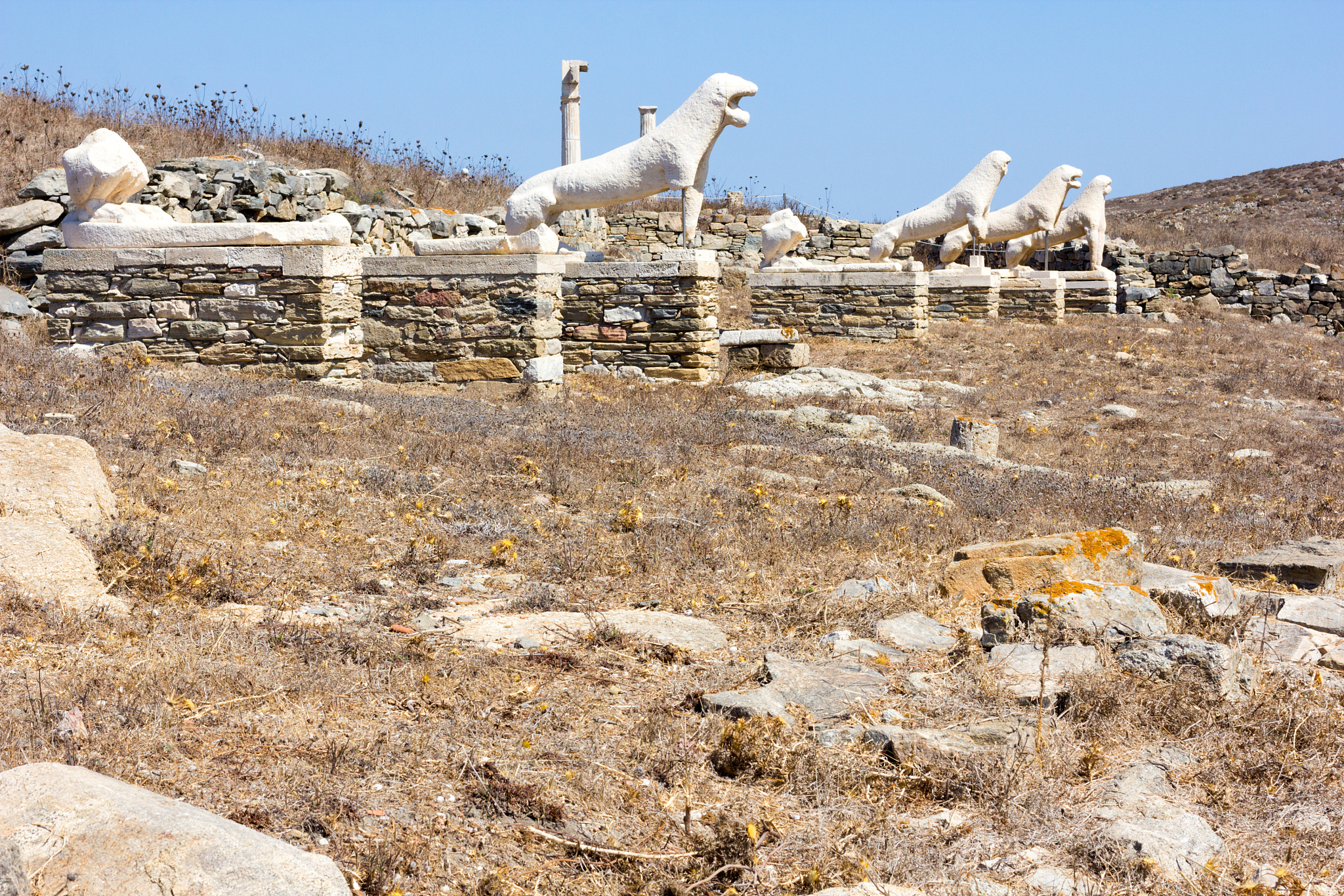 希腊神话风格种族名：阿尔巴诺斯，寓意纯白