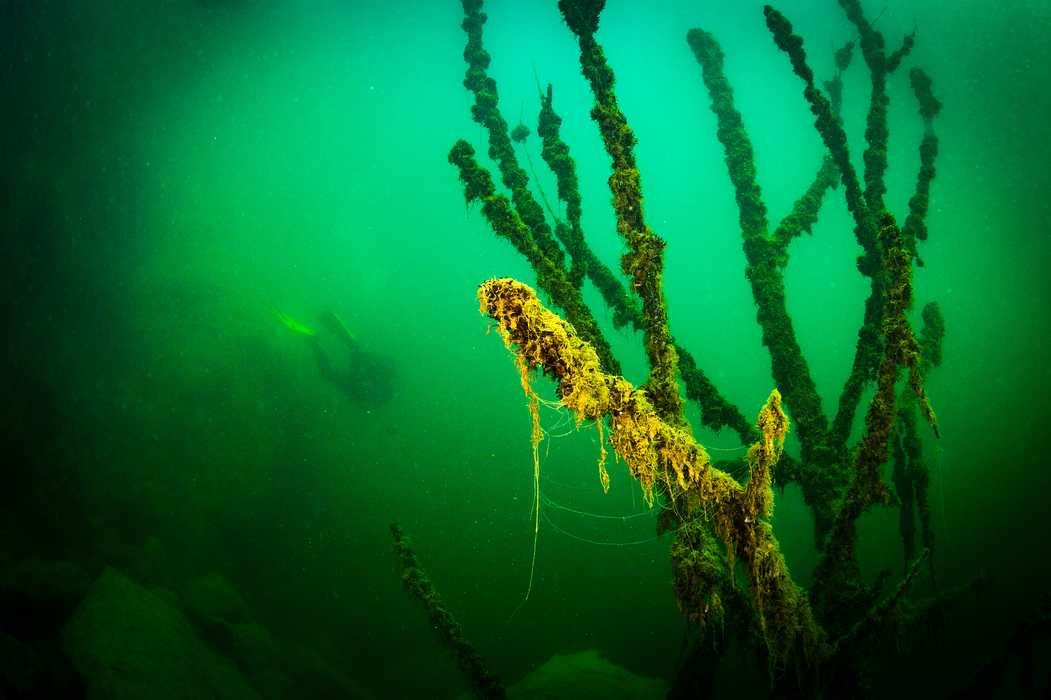 at the bottom of the river