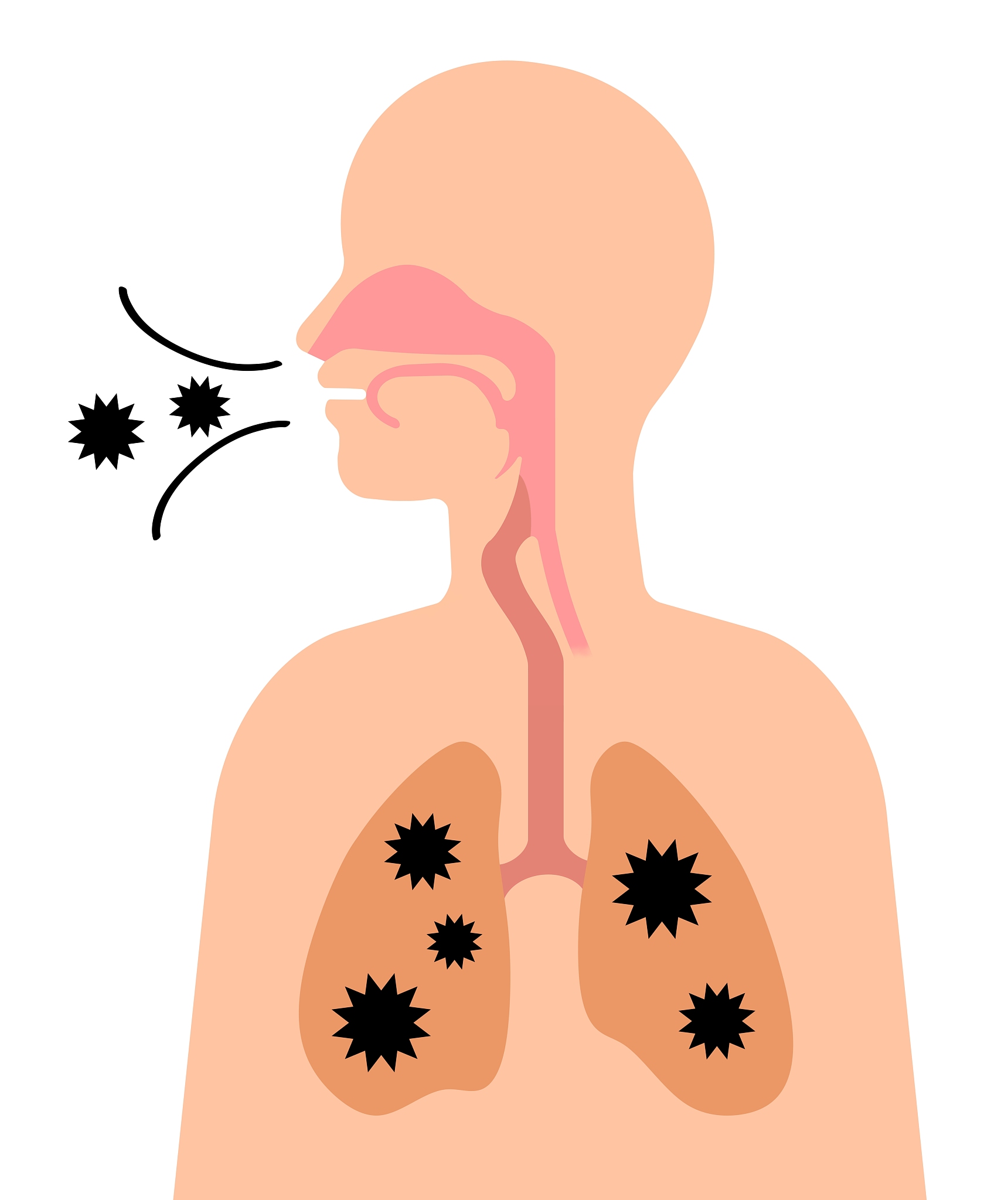 共同抗原：跨物种免疫反应的关键