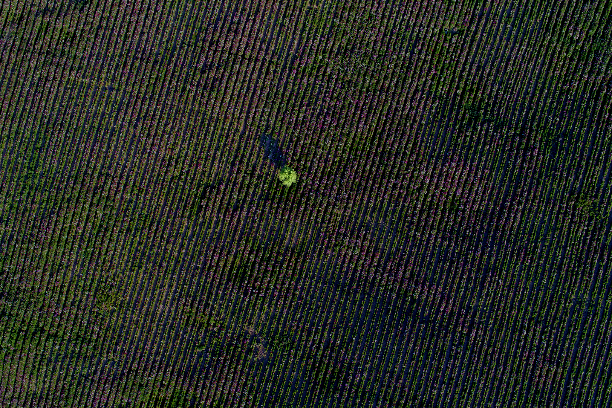 tem里面的haadf是什么意思