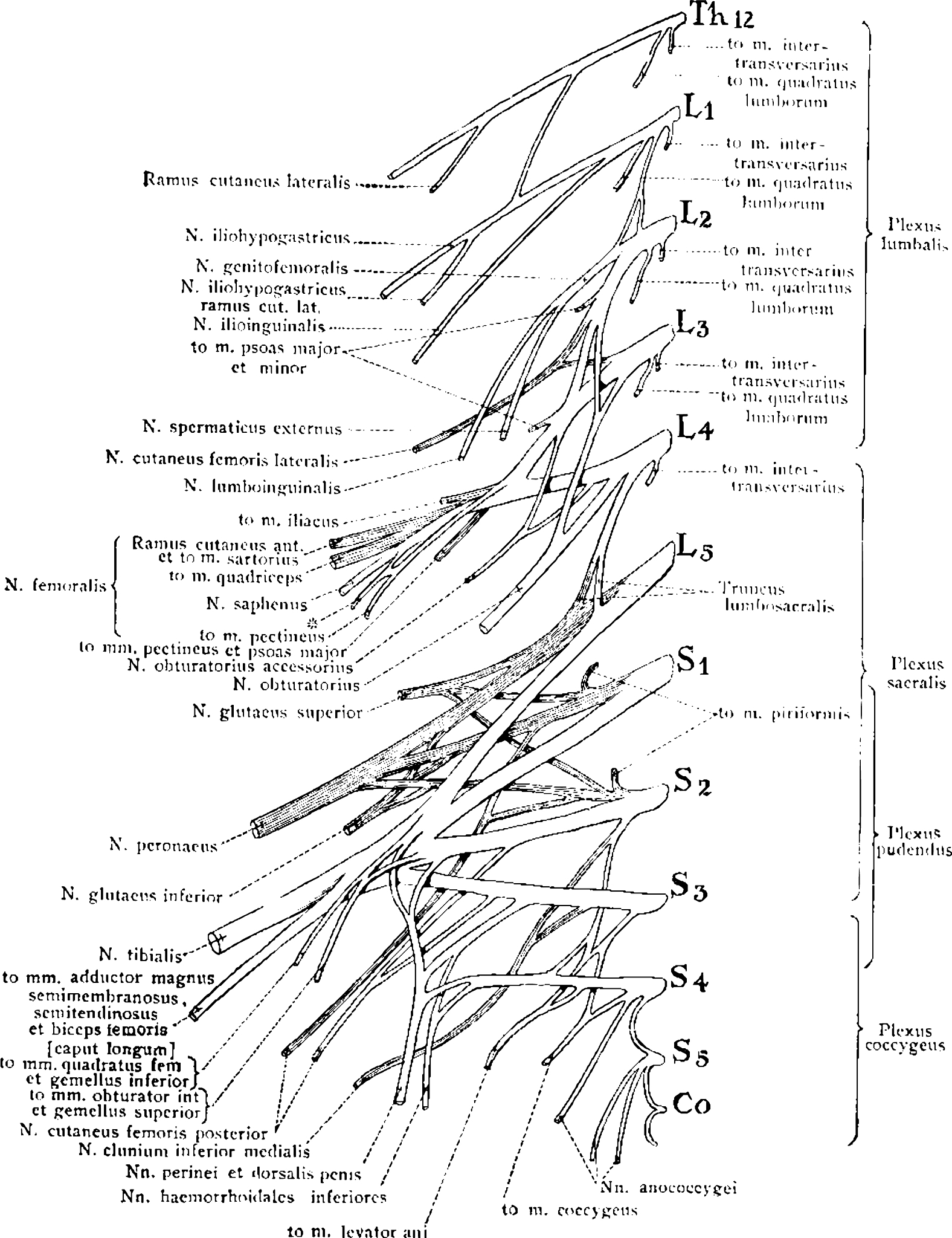 国际政治经济学研究纲领：现实主义、依赖理论、世界体系论和新自由主义