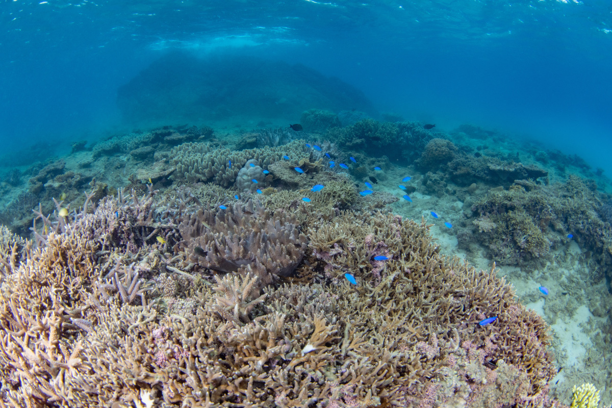 图瓦卢是一个什么样的国家