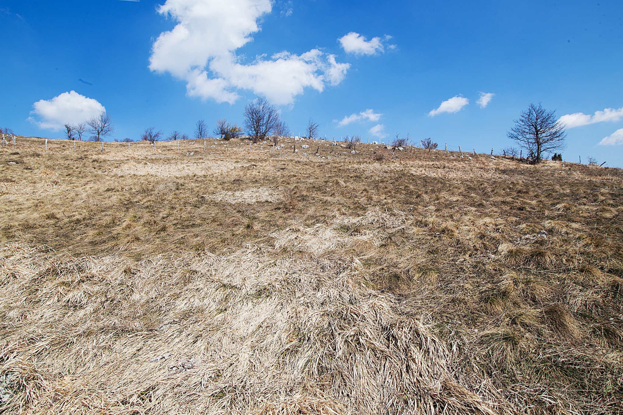 自然植被为适应该地干旱河谷的干热特点呈矮化、多刺、小叶的特点以减少蒸腾；茎叶肉质多汁以储存雨季水分；受降水限制植被生长缓慢、生物量低等。提取关键字