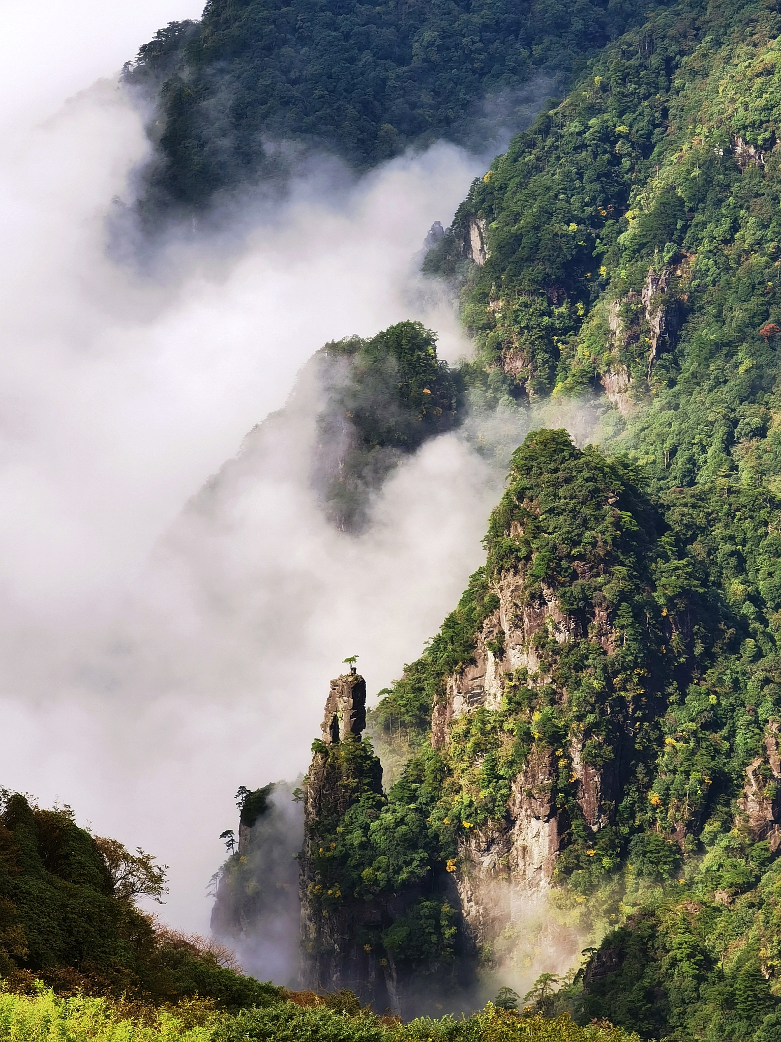 《白象似的群山》人物分析：他们之间是真爱吗？