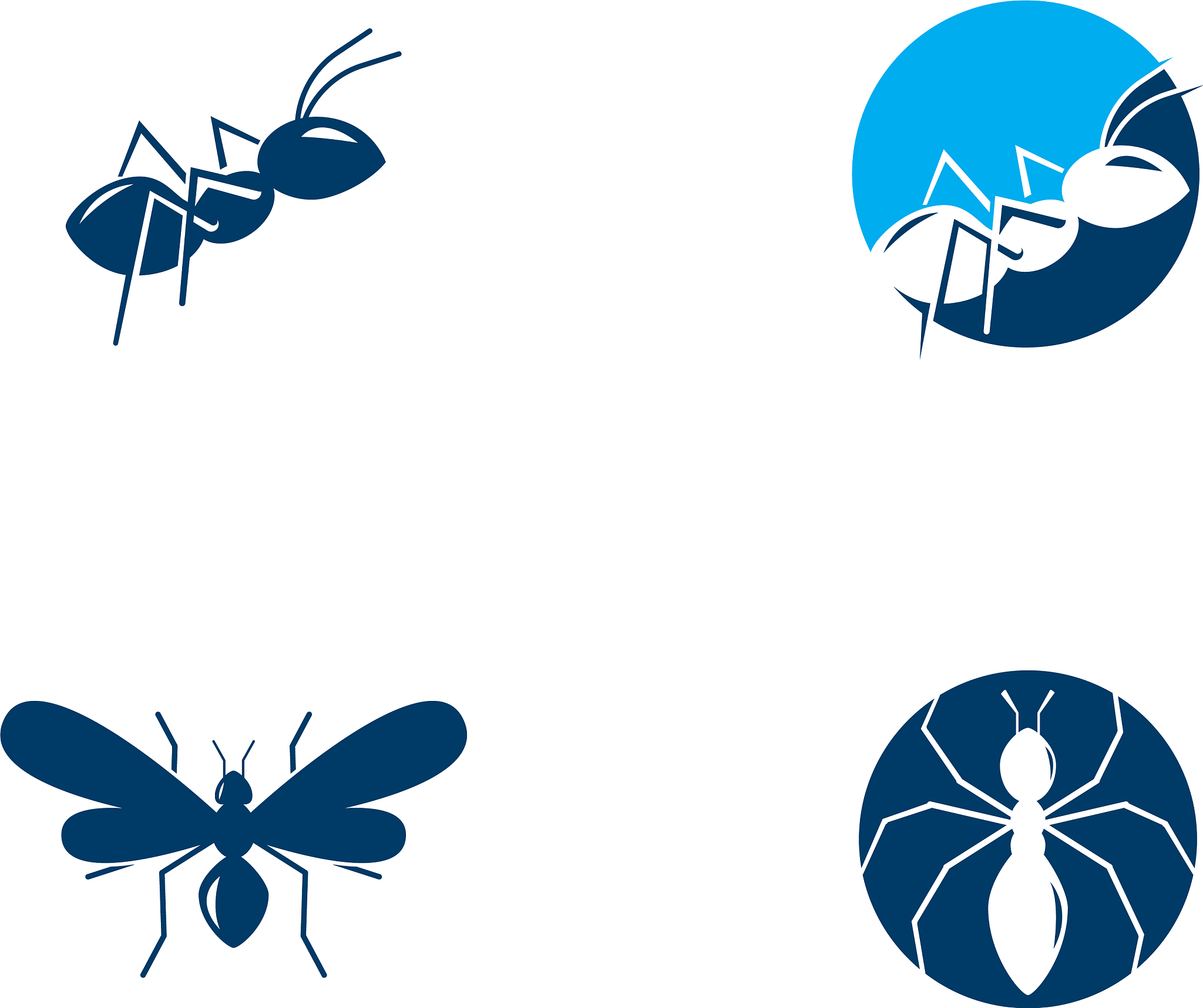 Ant Design 怎么读