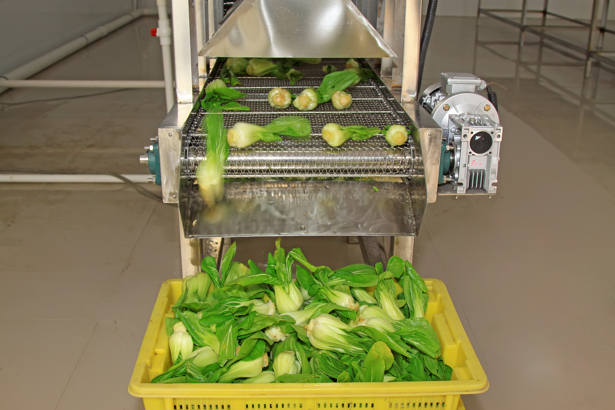 家庭切片切丝机设计参数：基于蔬菜切削力分析