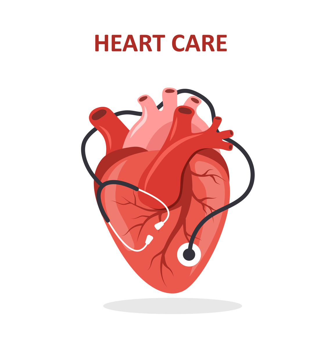 心房颤动消融术指南：如何做好手术准备和术后恢复