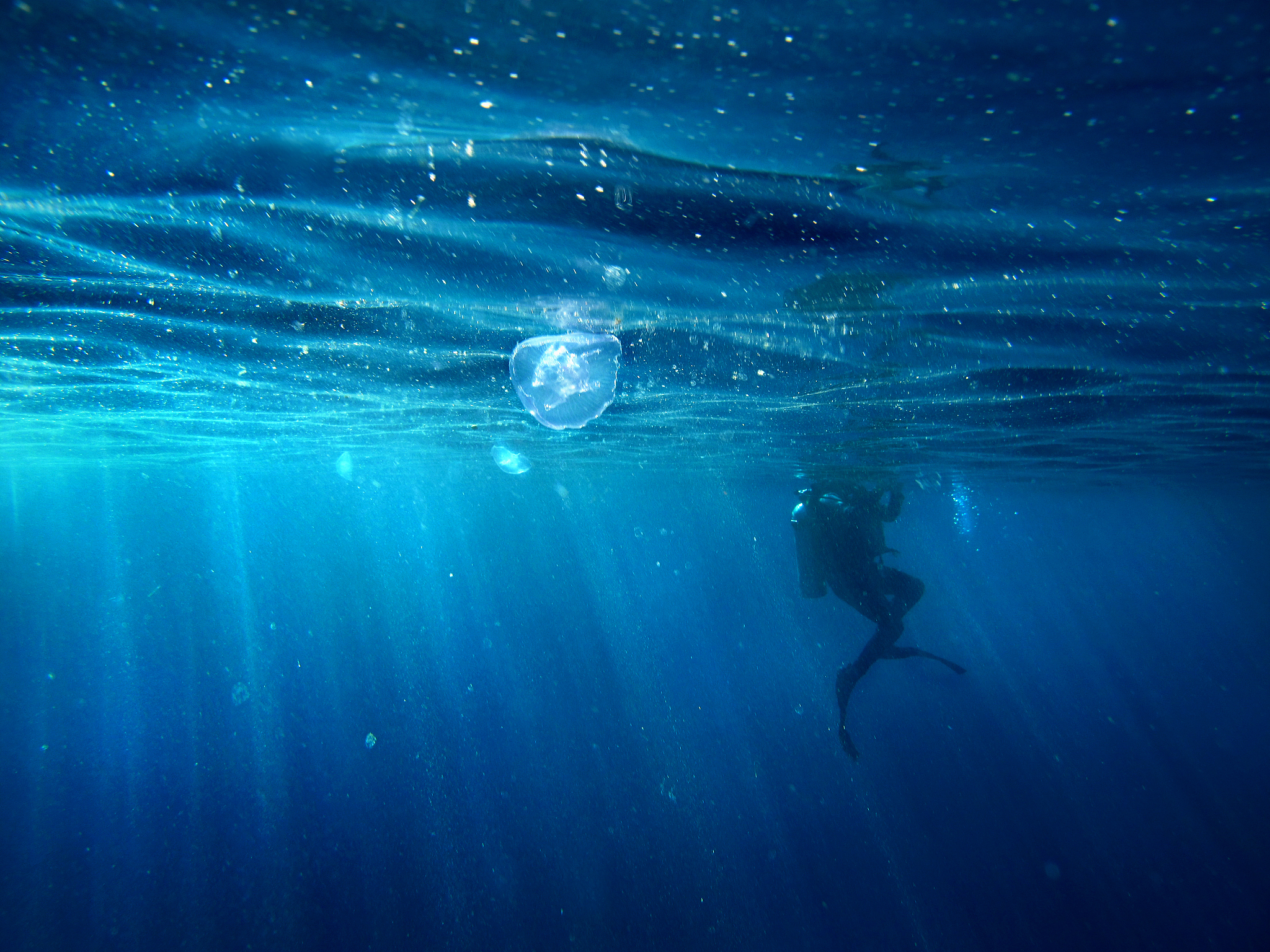 light underwater