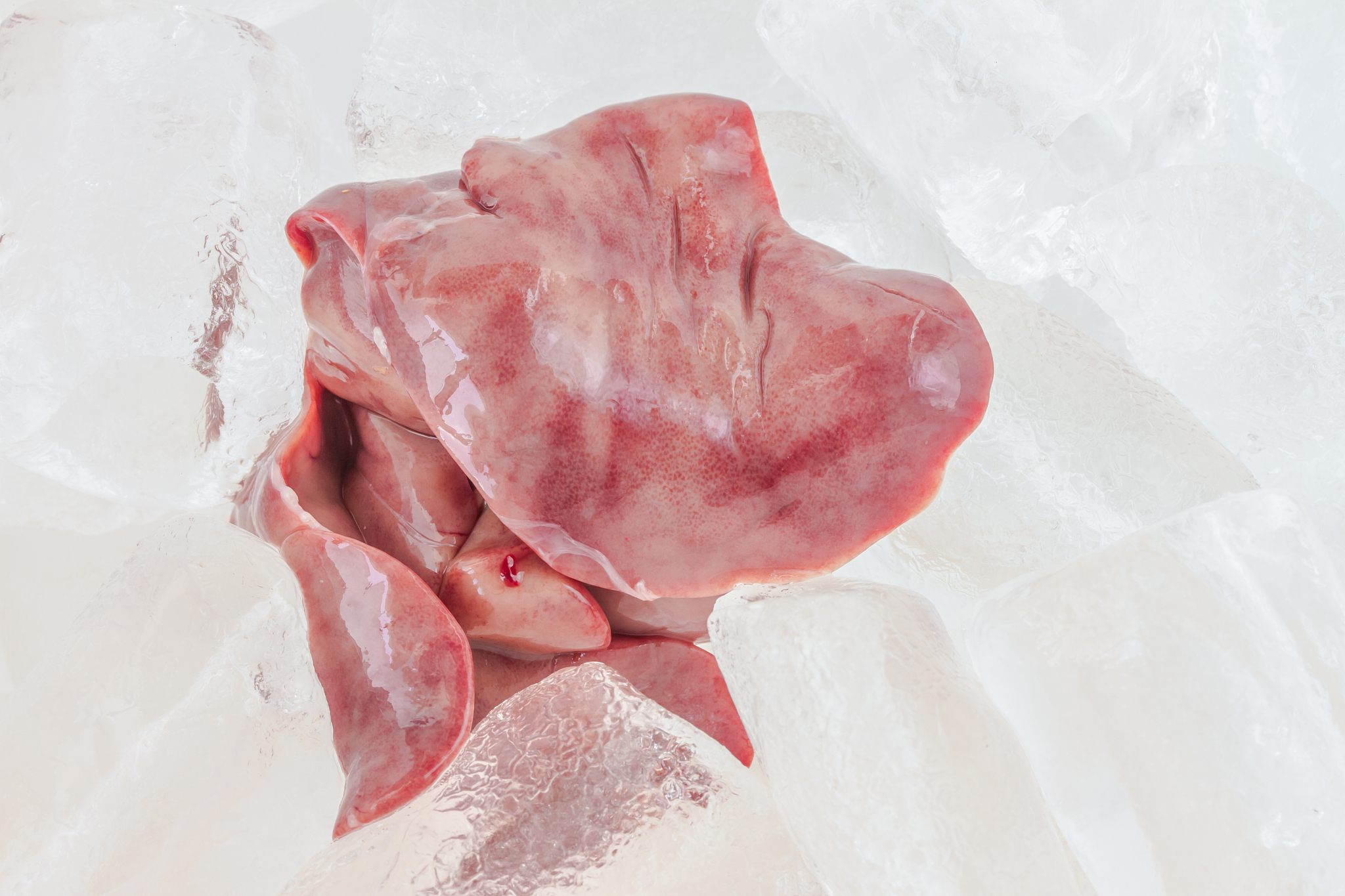冻藏时间对鸡肉消化特性影响研究：研究方法与结果