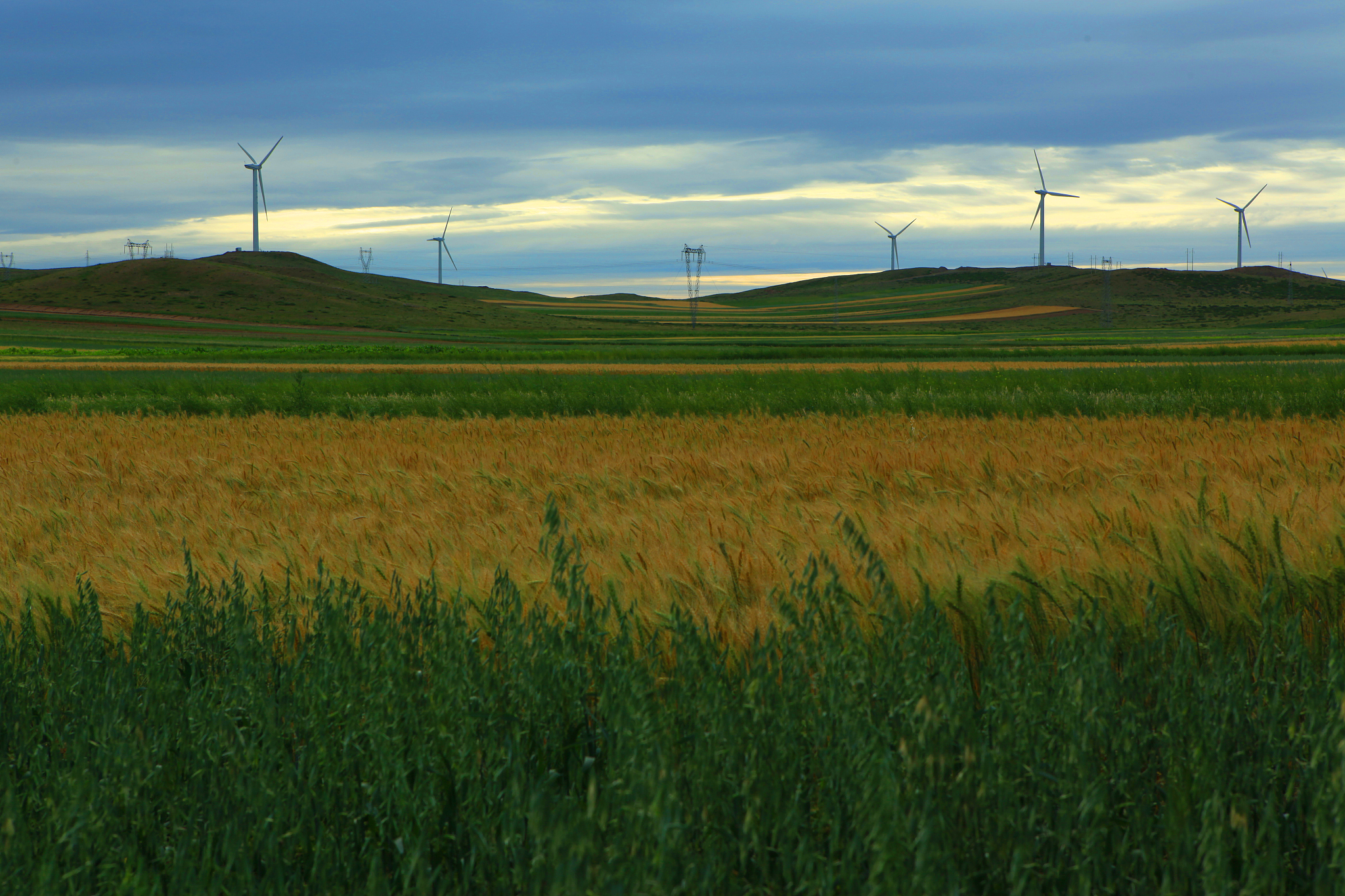内蒙古十大中职学校排行榜用发