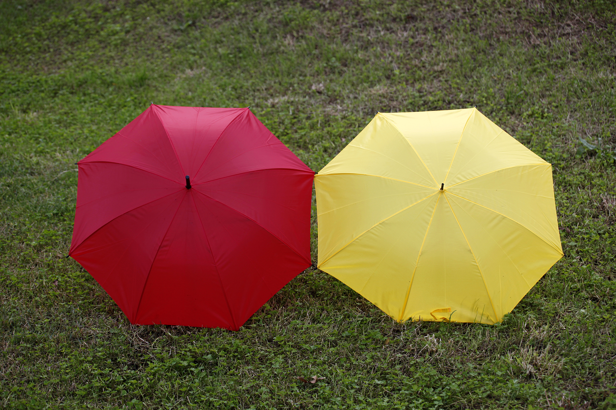 color umbrella